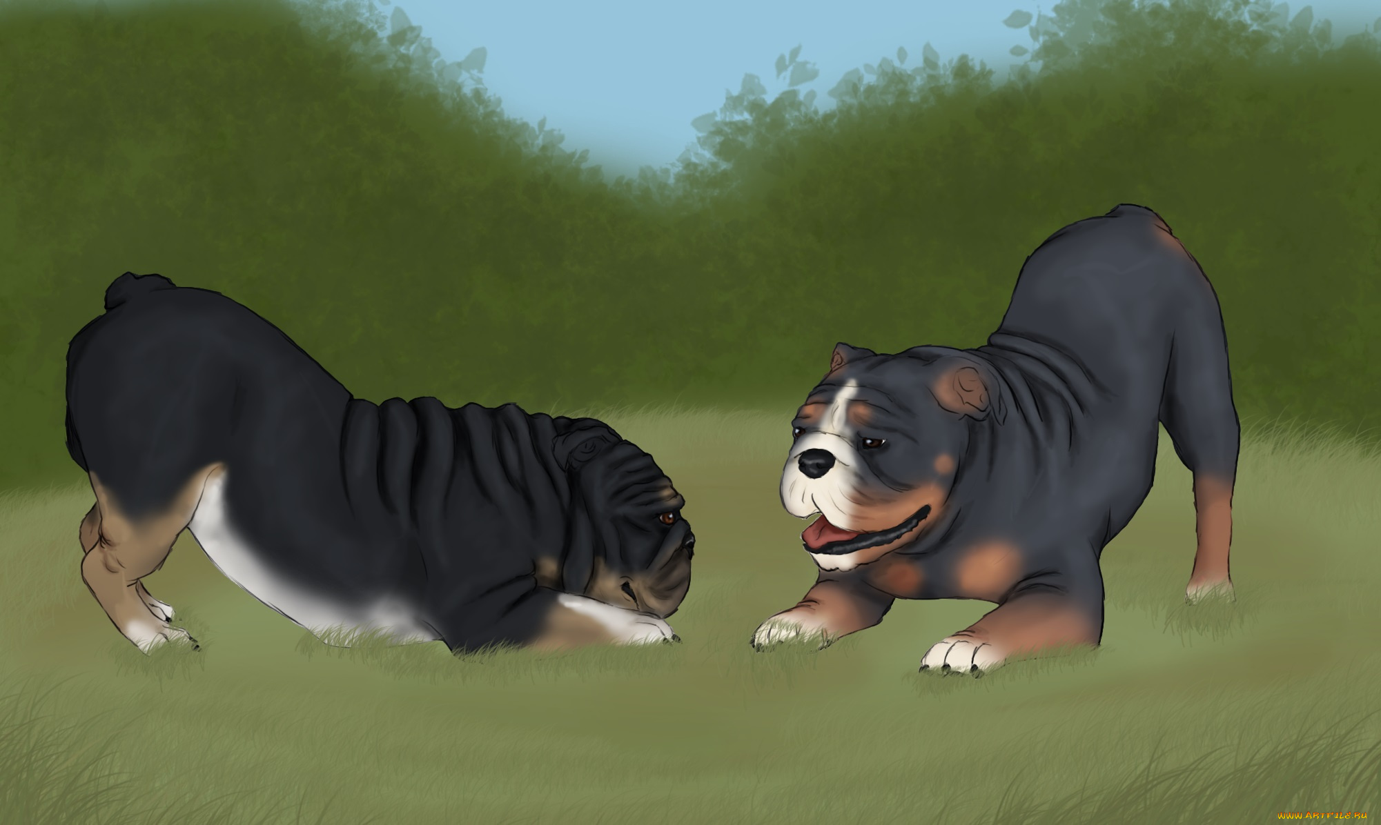 рисованные, животные, собаки