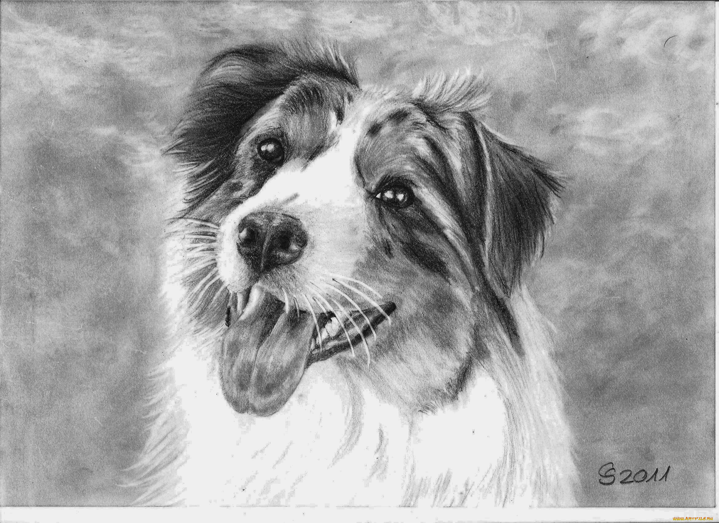 рисованные, животные, собаки, собака