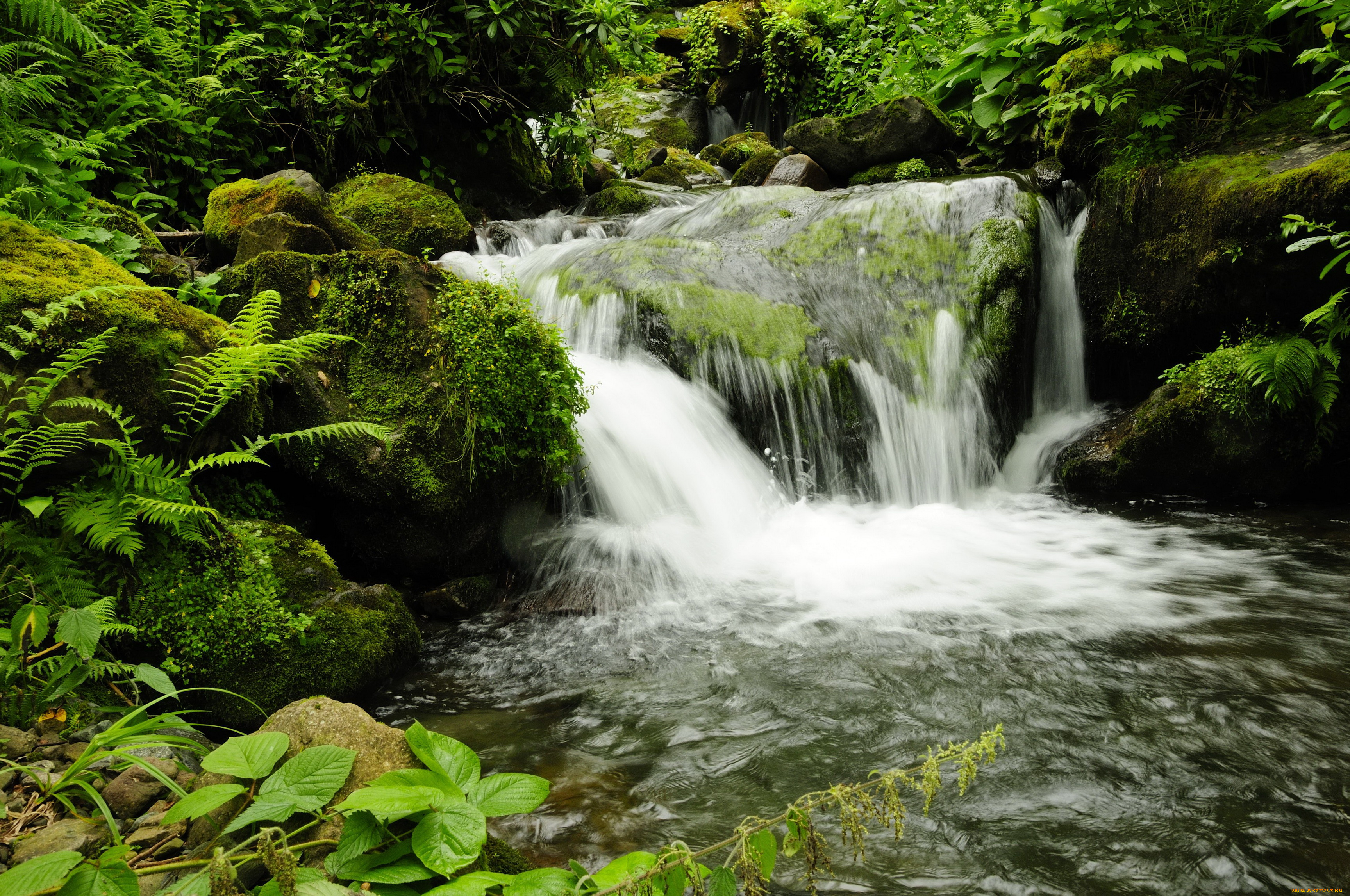 waterfall, in, mtirala, national, park, грузия, аджария, природа, водопады, водопад, лес