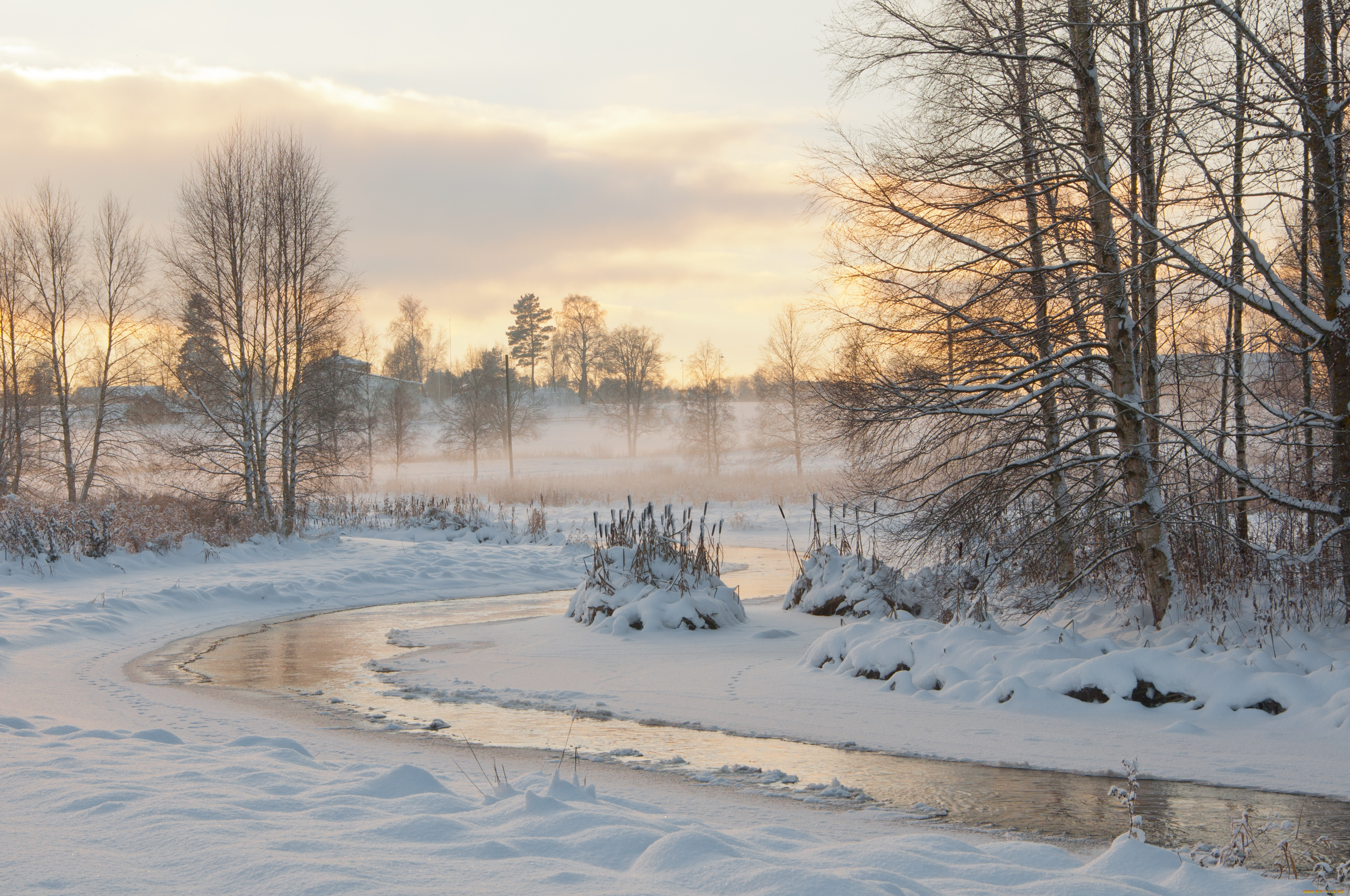 природа, зима, деревья, снег, река