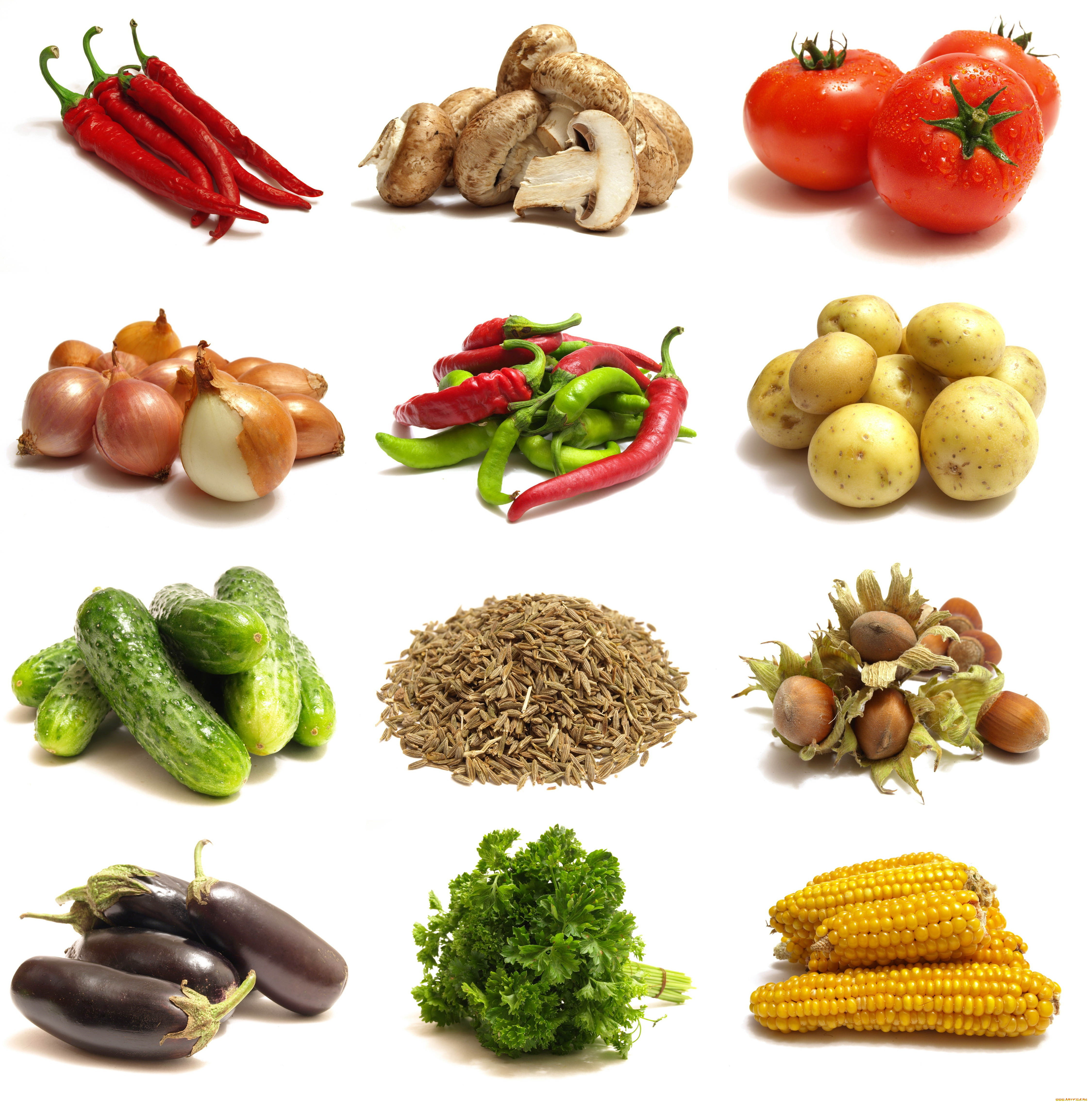 еда, разное, орехи, белый, фон, коллаж, злаки, овощи, баклжаны, зелень, кукуруза, огурцы, томаты, грибы, перец
