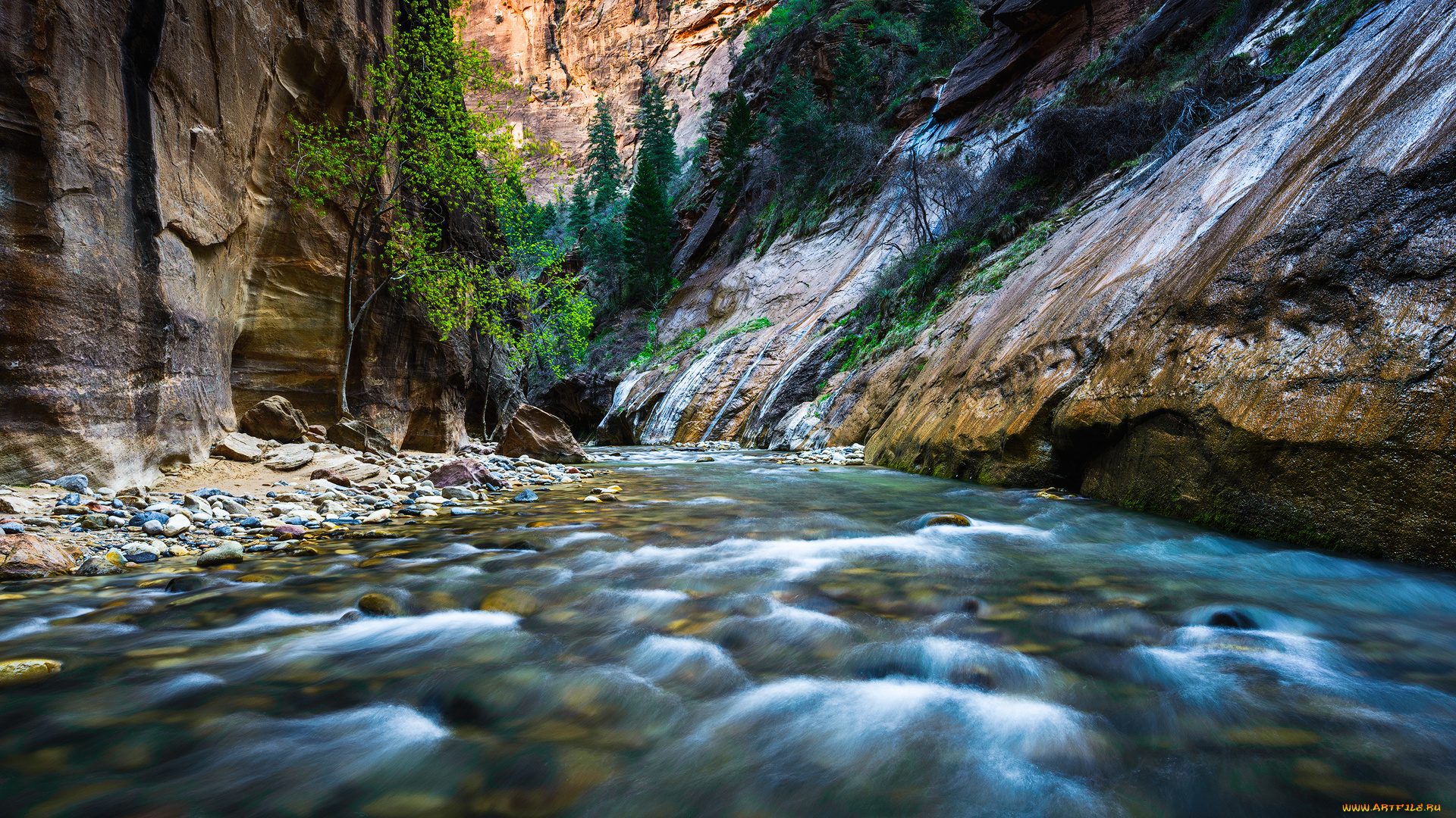 природа, реки, озера, горы, лес, река