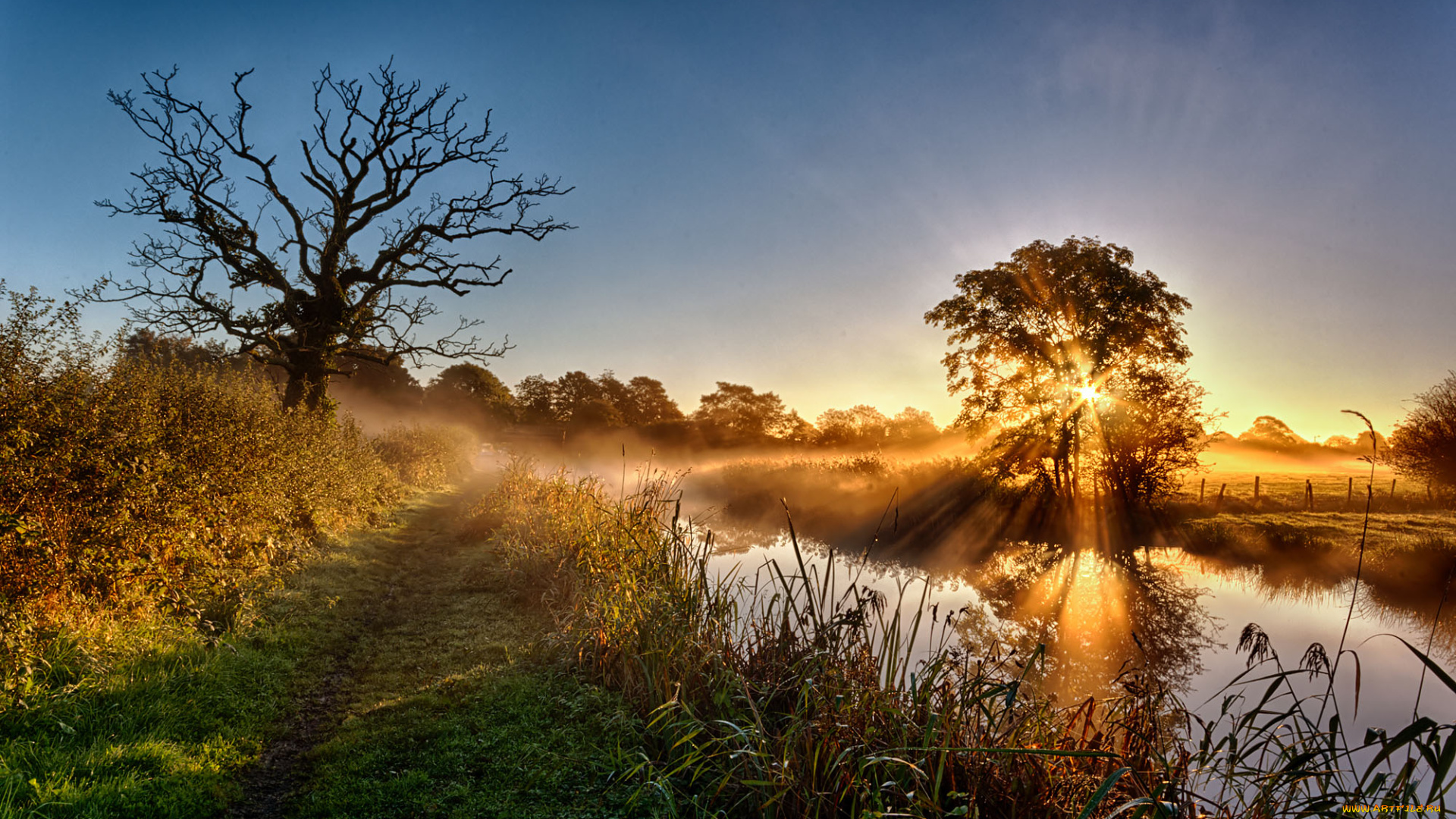 природа, восходы, закаты, рассвет, река, лес