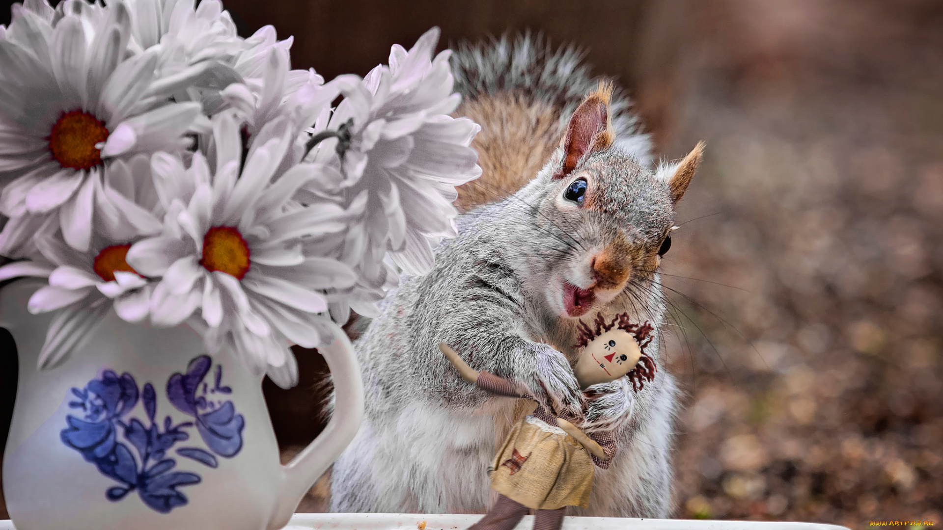 животные, белки, игра, кукла, белка