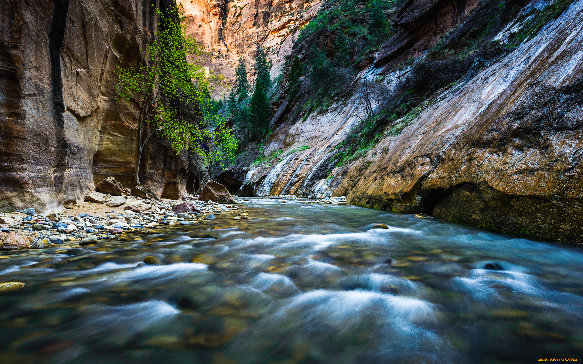 природа, реки, озера, горы, лес, река