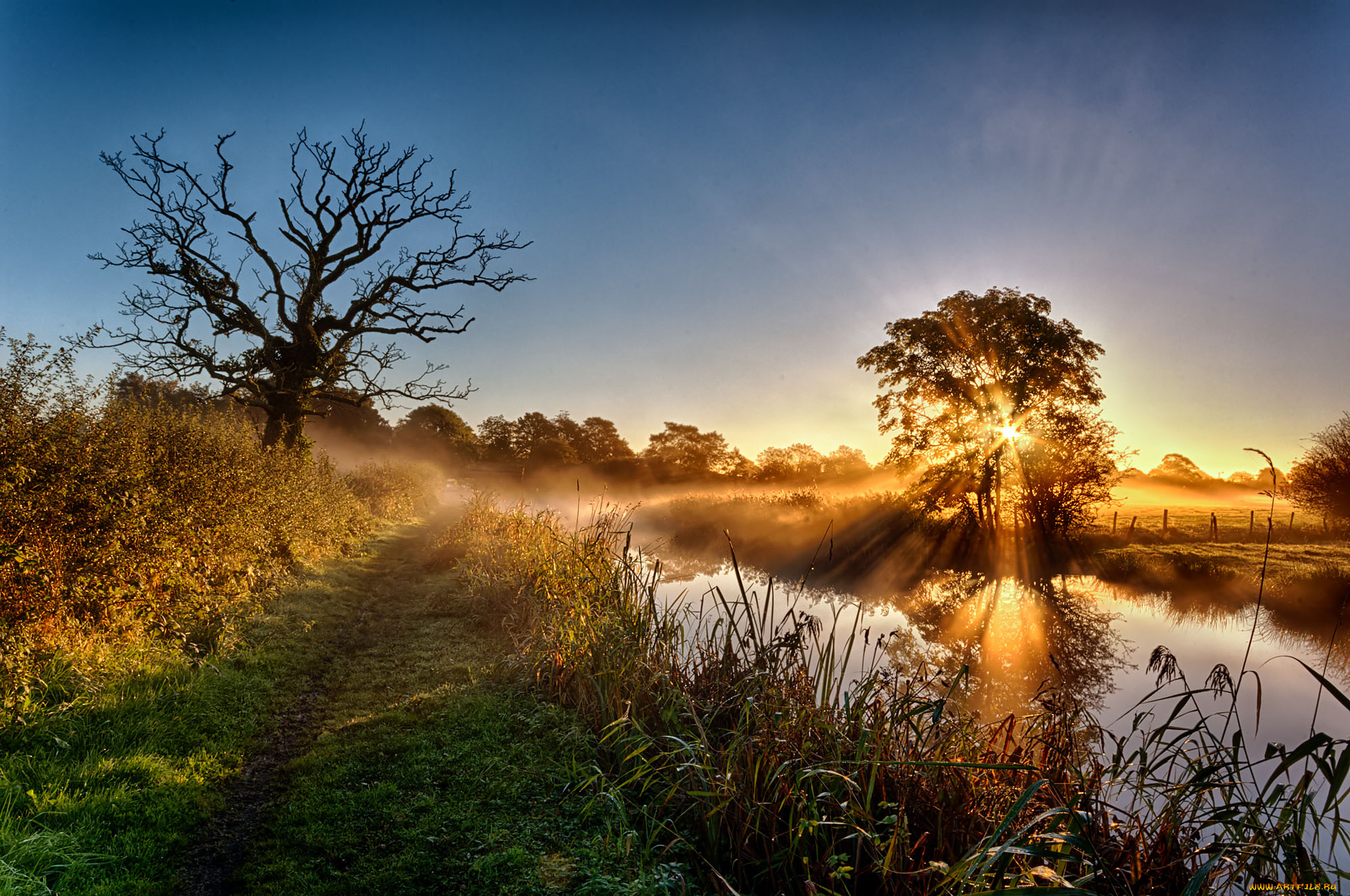 природа, восходы, закаты, рассвет, река, лес