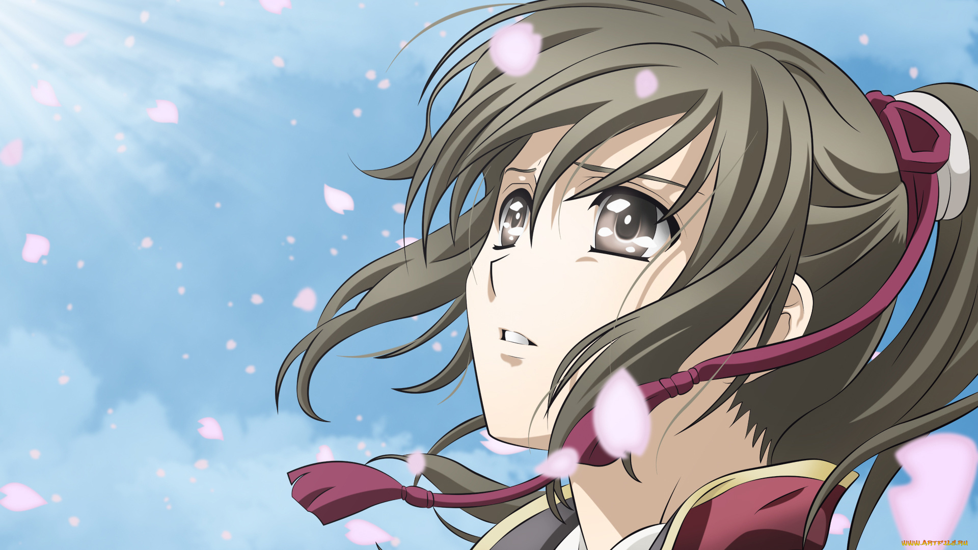 аниме, hakuoki, синсэнгуми, демоны, сакуры, взгляд, глаза, лепестки, девушка, yukimura, chizuru