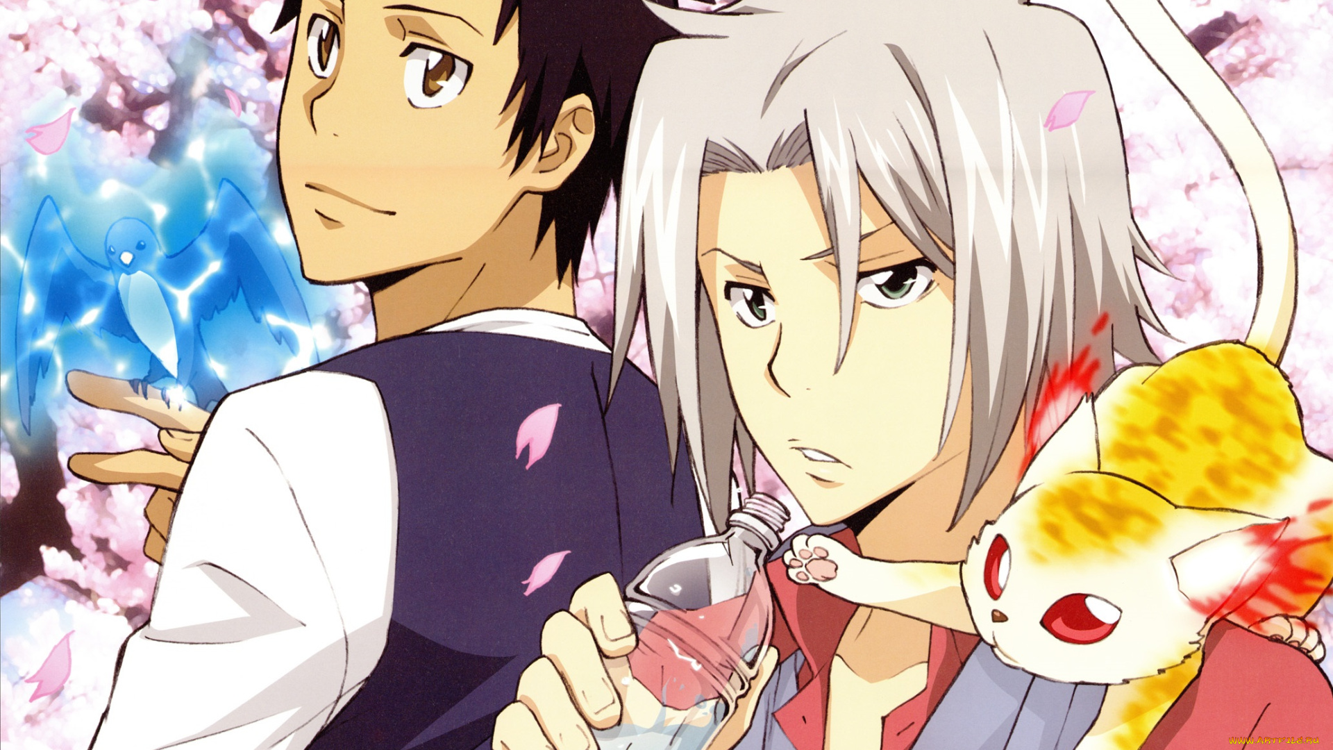 аниме, katekyo, hitman, reborn, парни