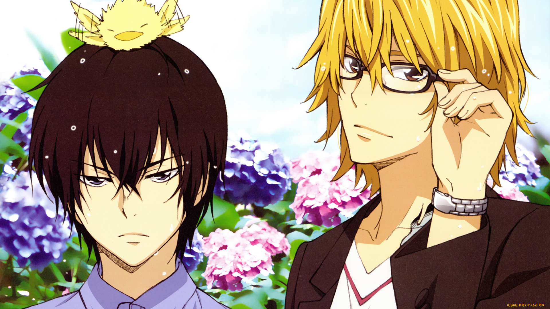 аниме, katekyo, hitman, reborn, парни