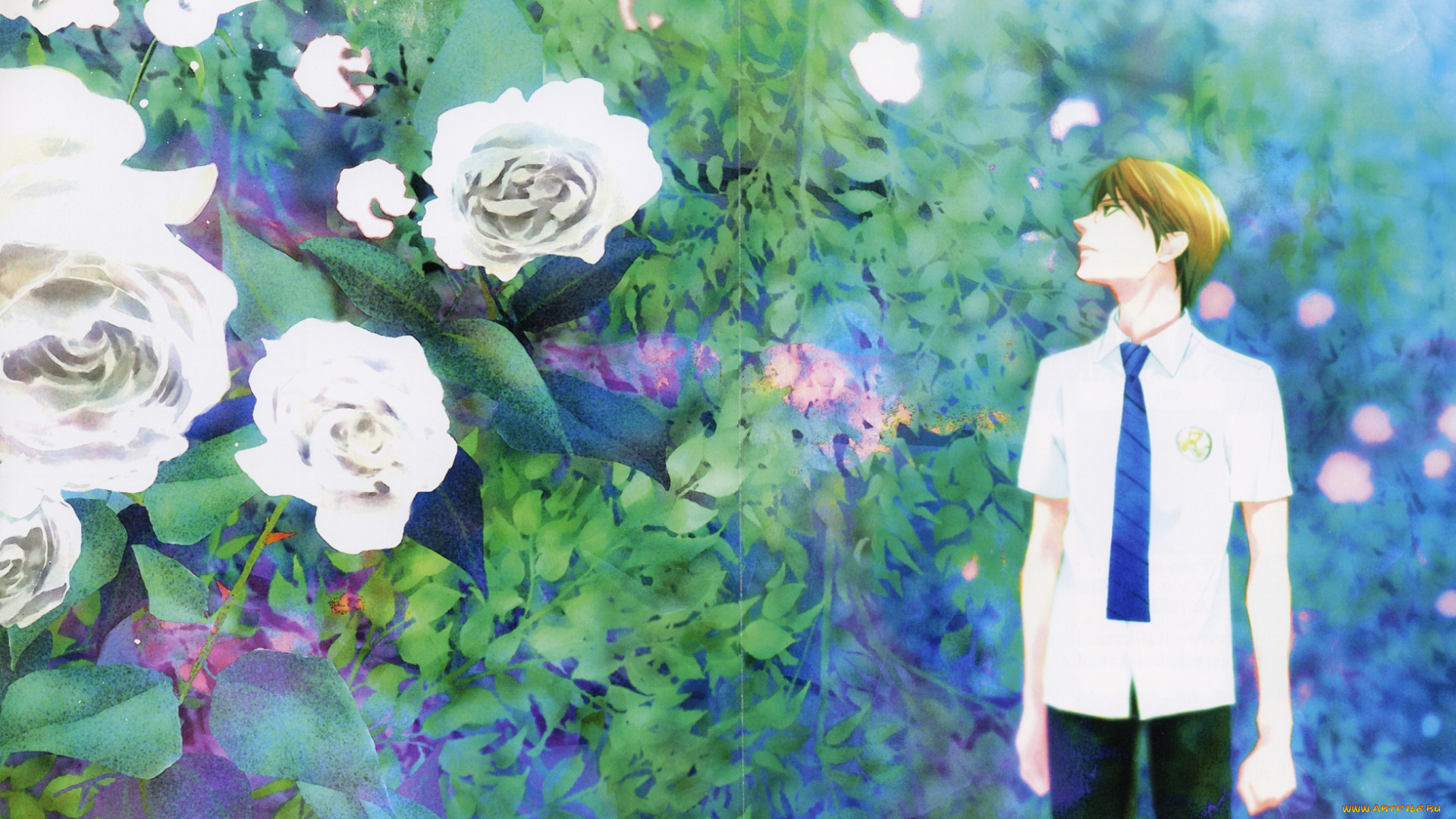 аниме, prince, of, tennis, prince, of, tennis