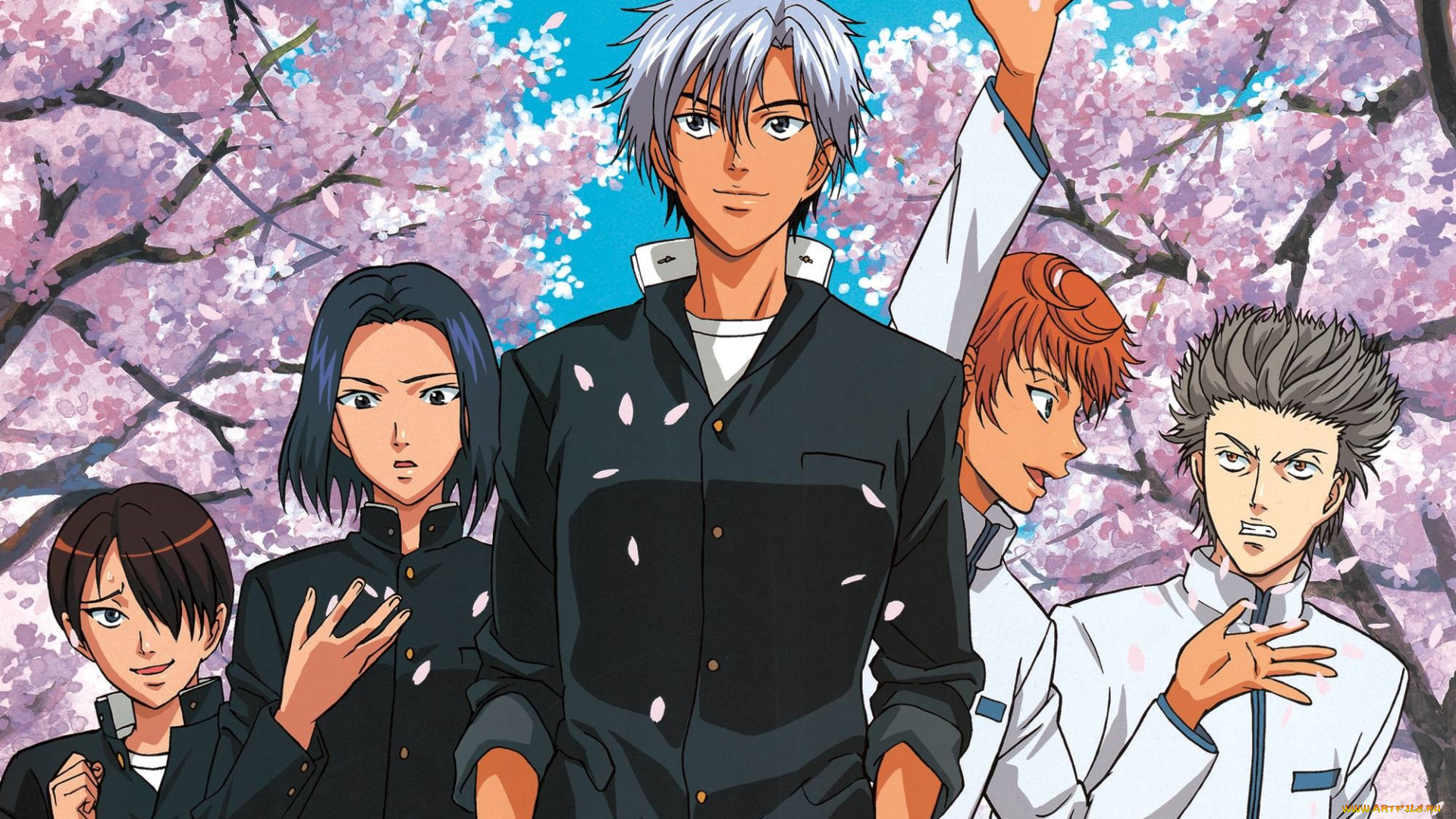 аниме, prince, of, tennis, prince, of, tennis