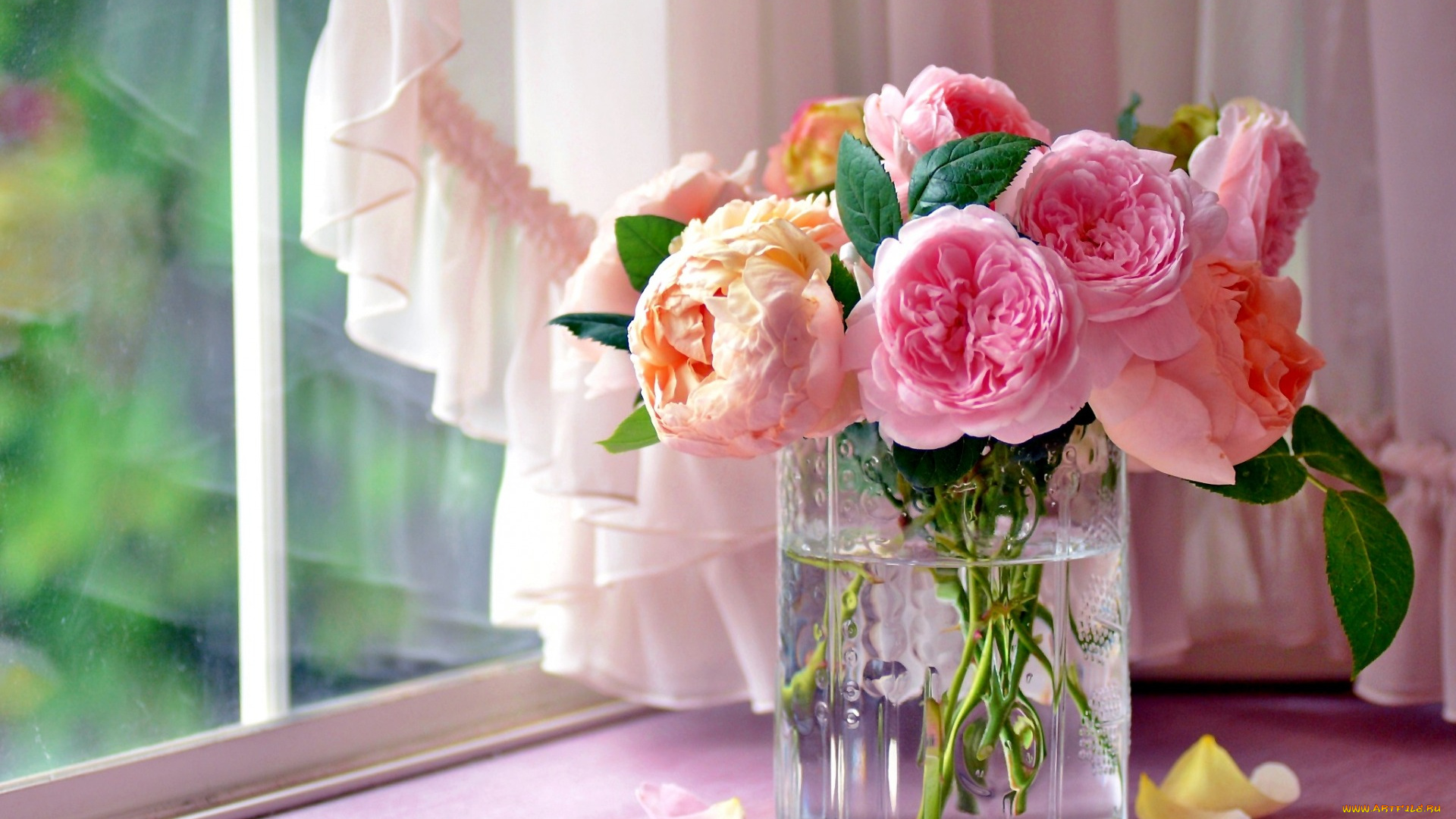 цветы, розы, ваза, букет, лепестки