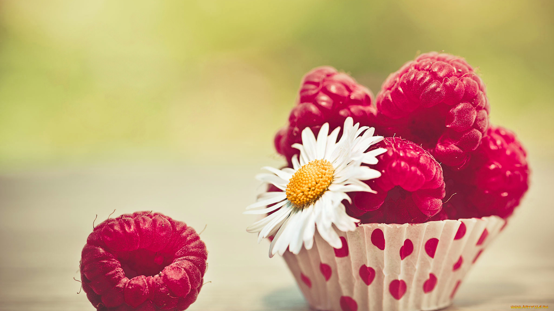 еда, малина, ромашка, ягоды, цветок, макро