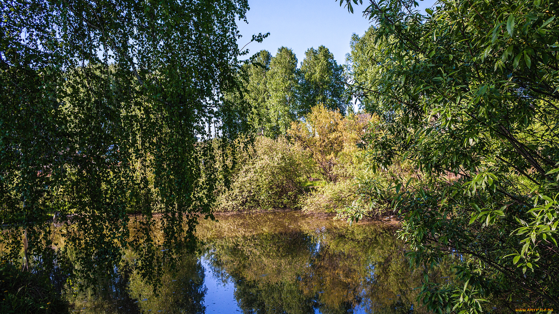 природа, реки, озера, лес, река