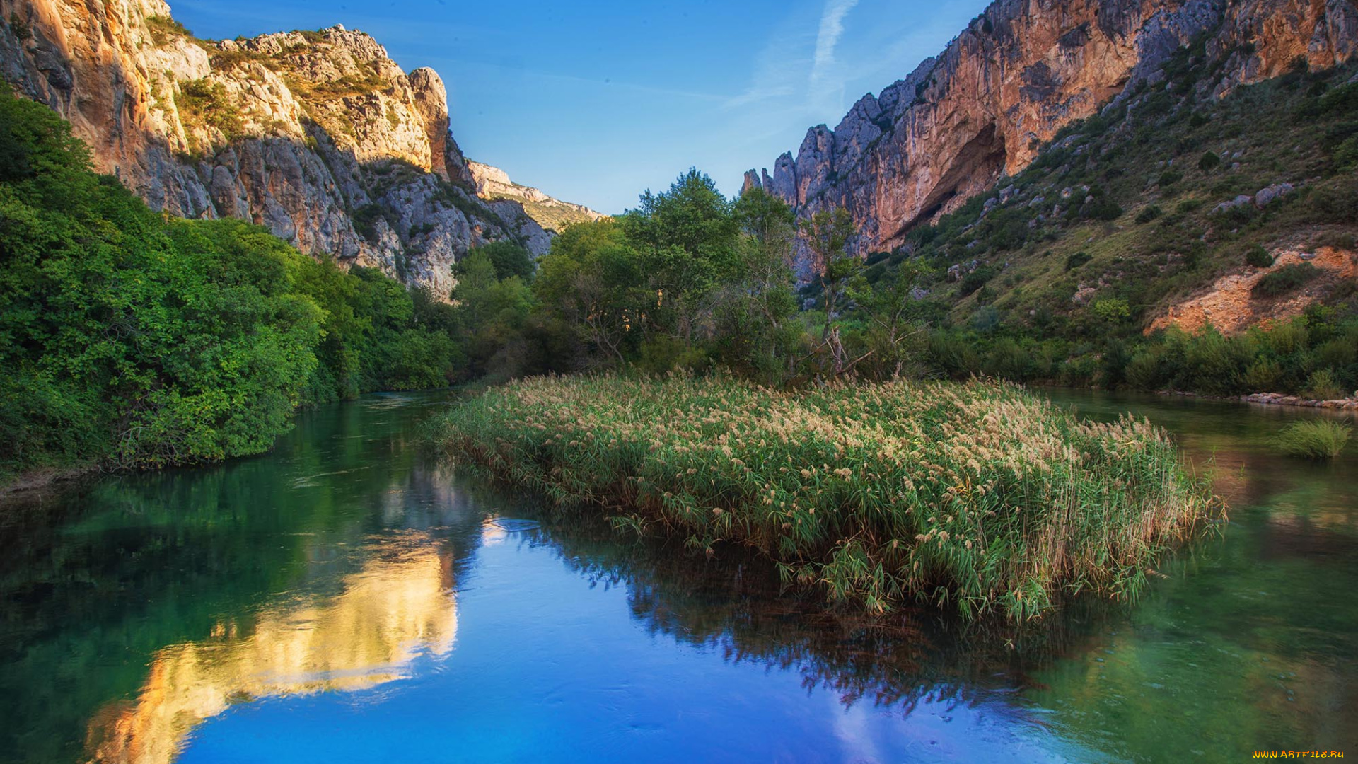 природа, реки, озера, лес, река