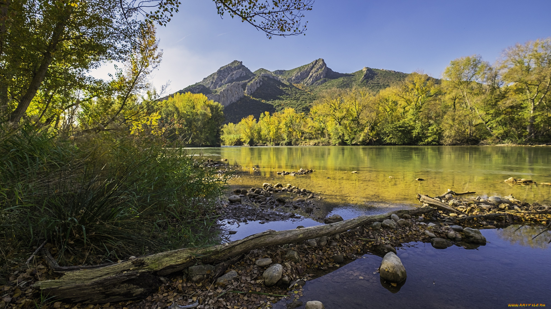 природа, реки, озера, лес, река