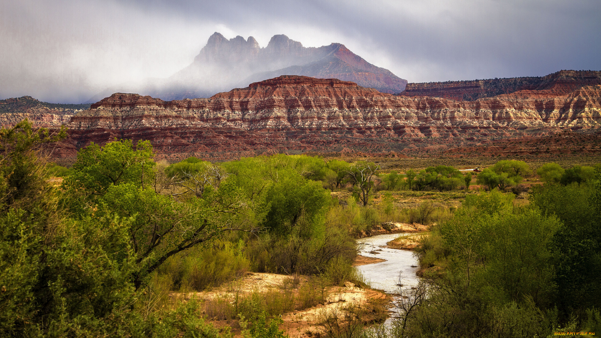 природа, реки, озера, река, лес