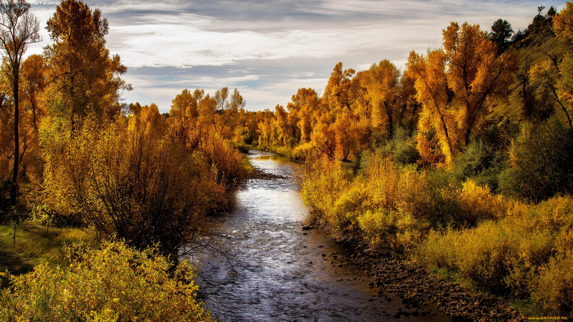 природа, реки, озера, река, лес