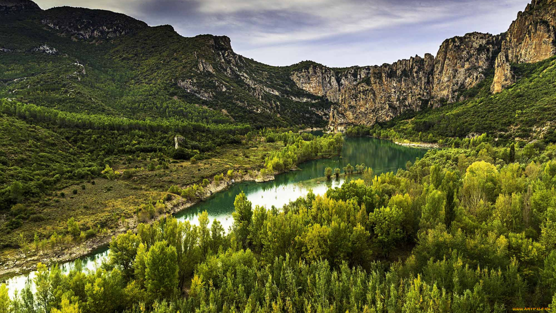 природа, реки, озера, река, лес