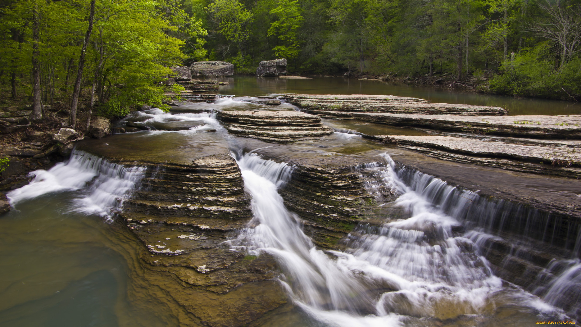 природа, реки, озера, река, лес