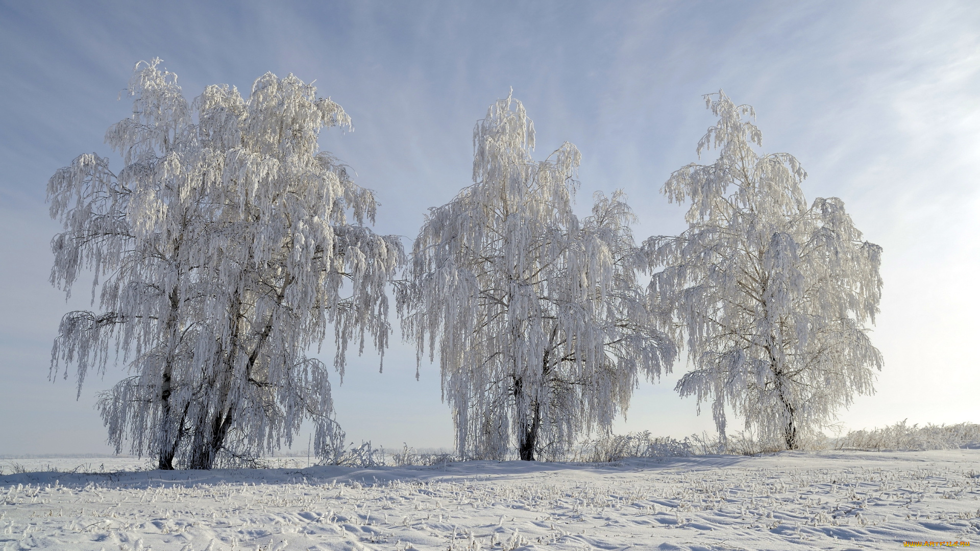 природа, зима, пейзаж, снег