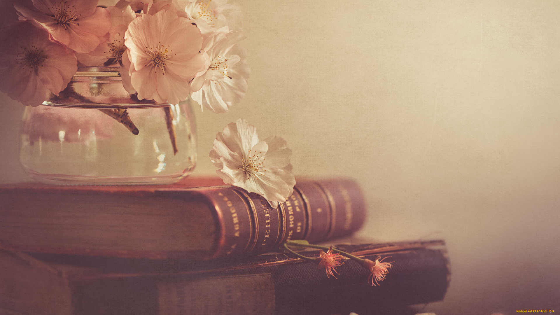 разное, канцелярия, , книги, стиль, цветы, банка, книги