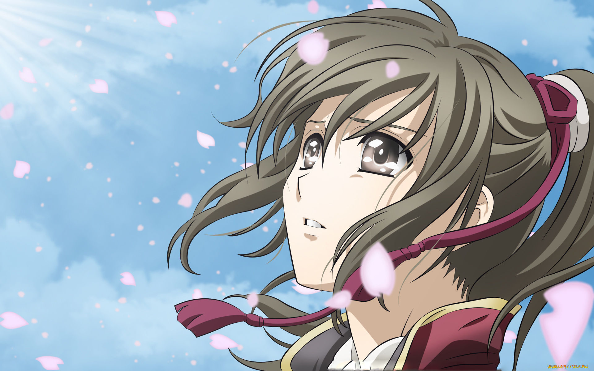 аниме, hakuoki, синсэнгуми, демоны, сакуры, взгляд, глаза, лепестки, девушка, yukimura, chizuru