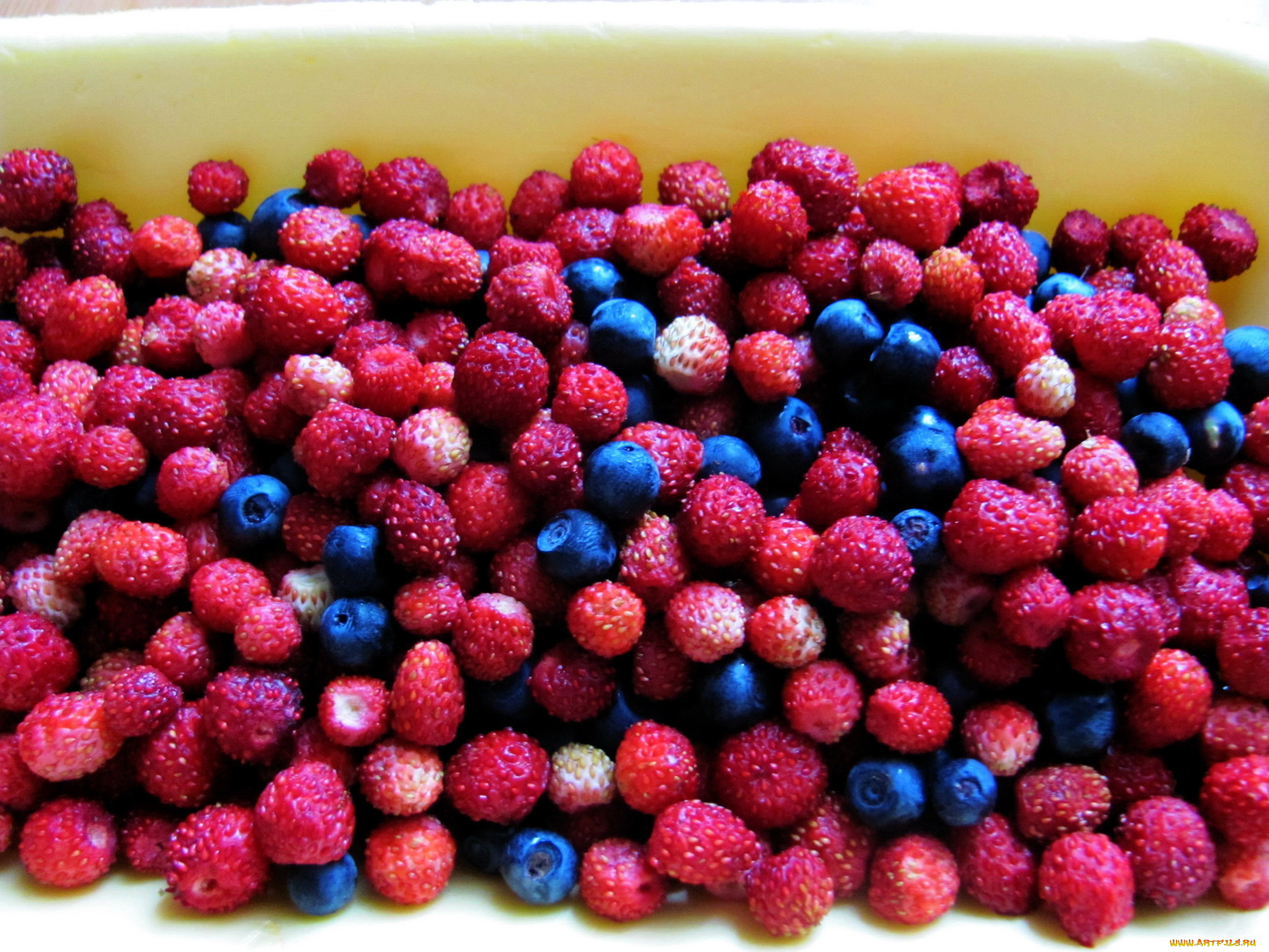 еда, клубника, , земляника, земляника, черника