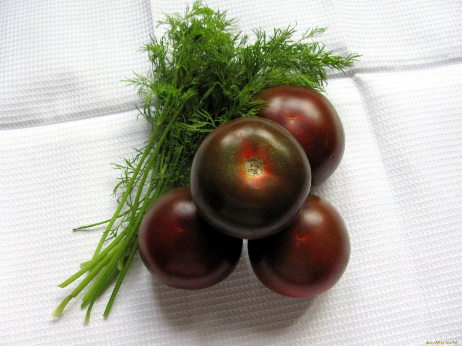 еда, овощи, укроп, кумато, помидоры, черные