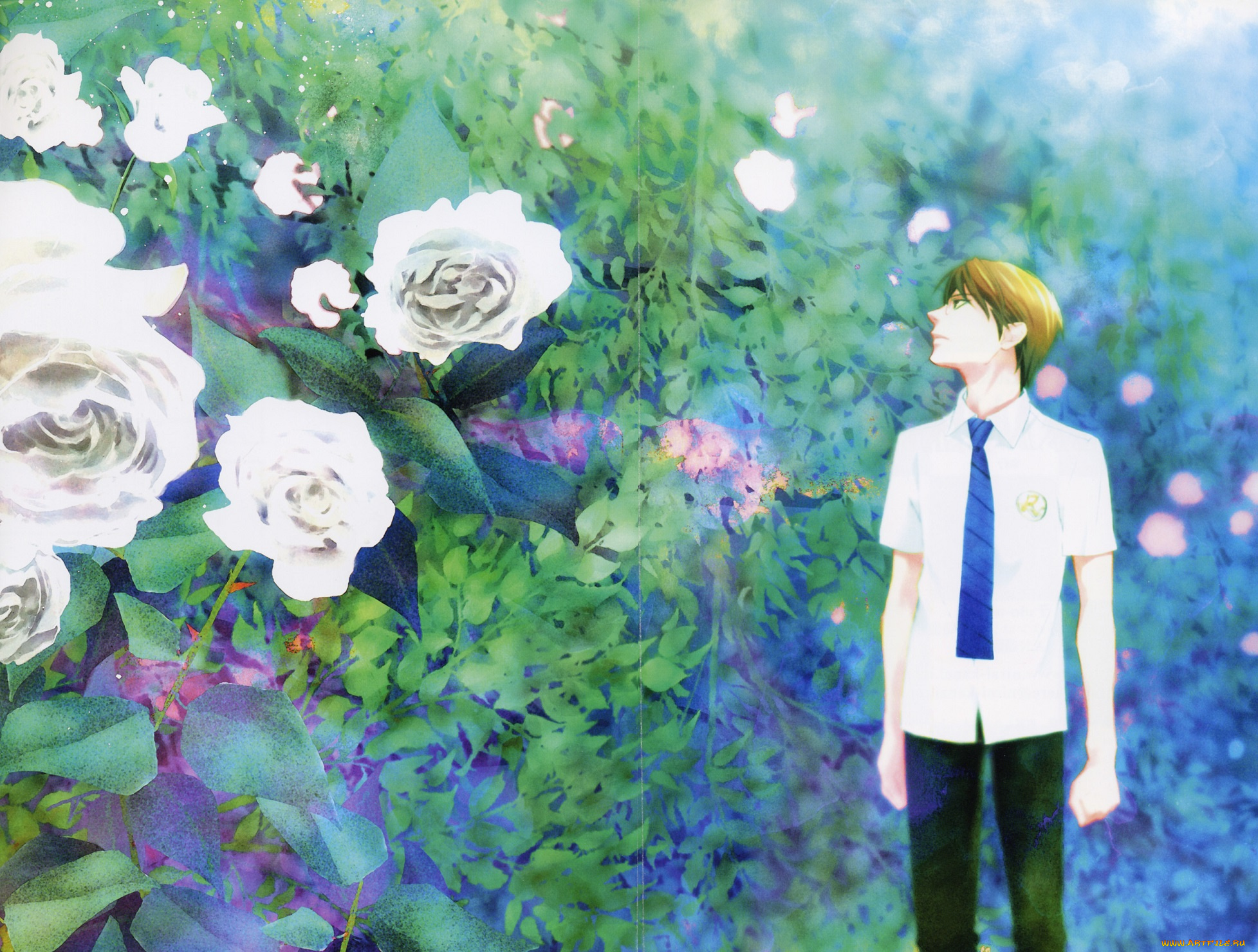 аниме, prince, of, tennis, prince, of, tennis