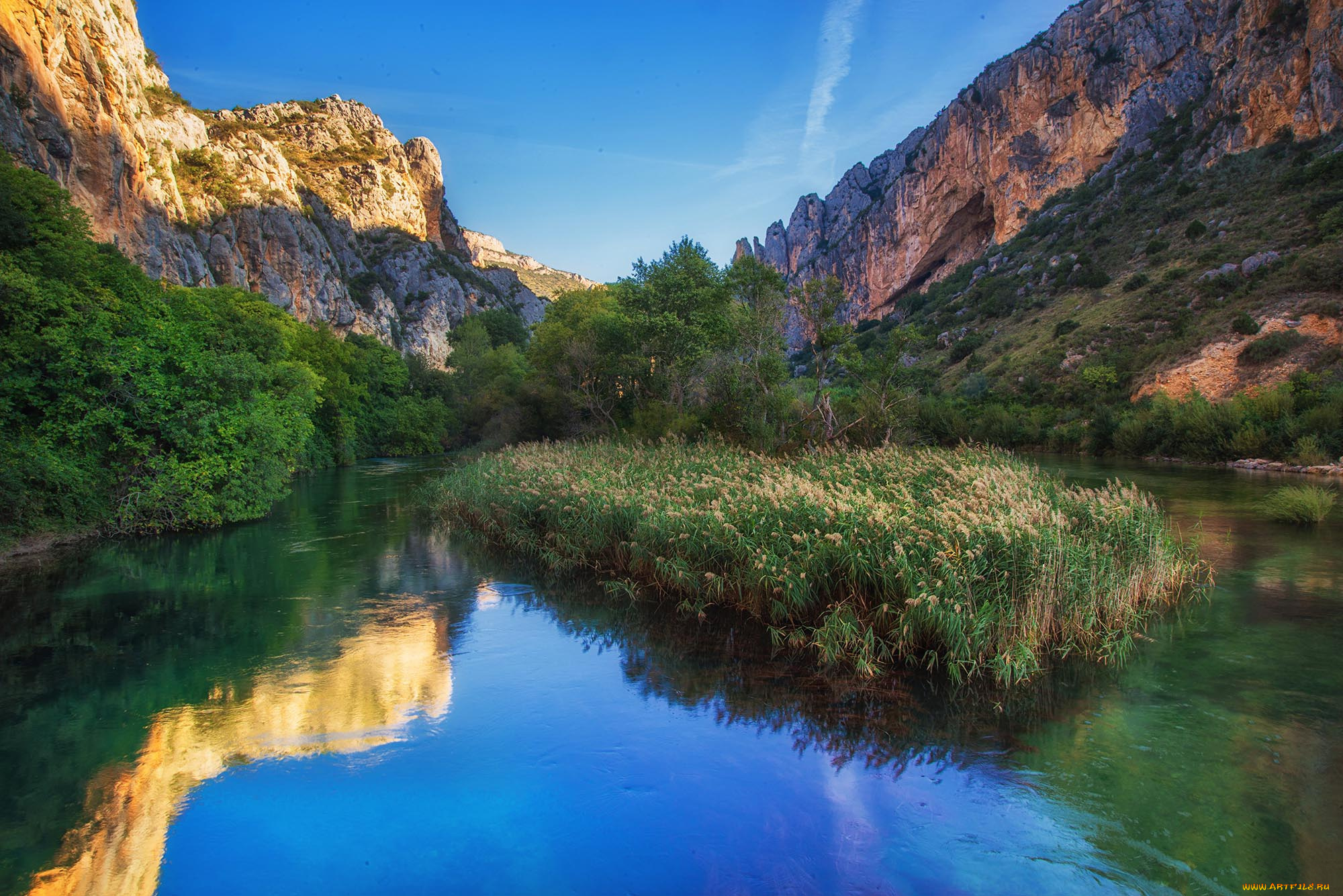 природа, реки, озера, лес, река