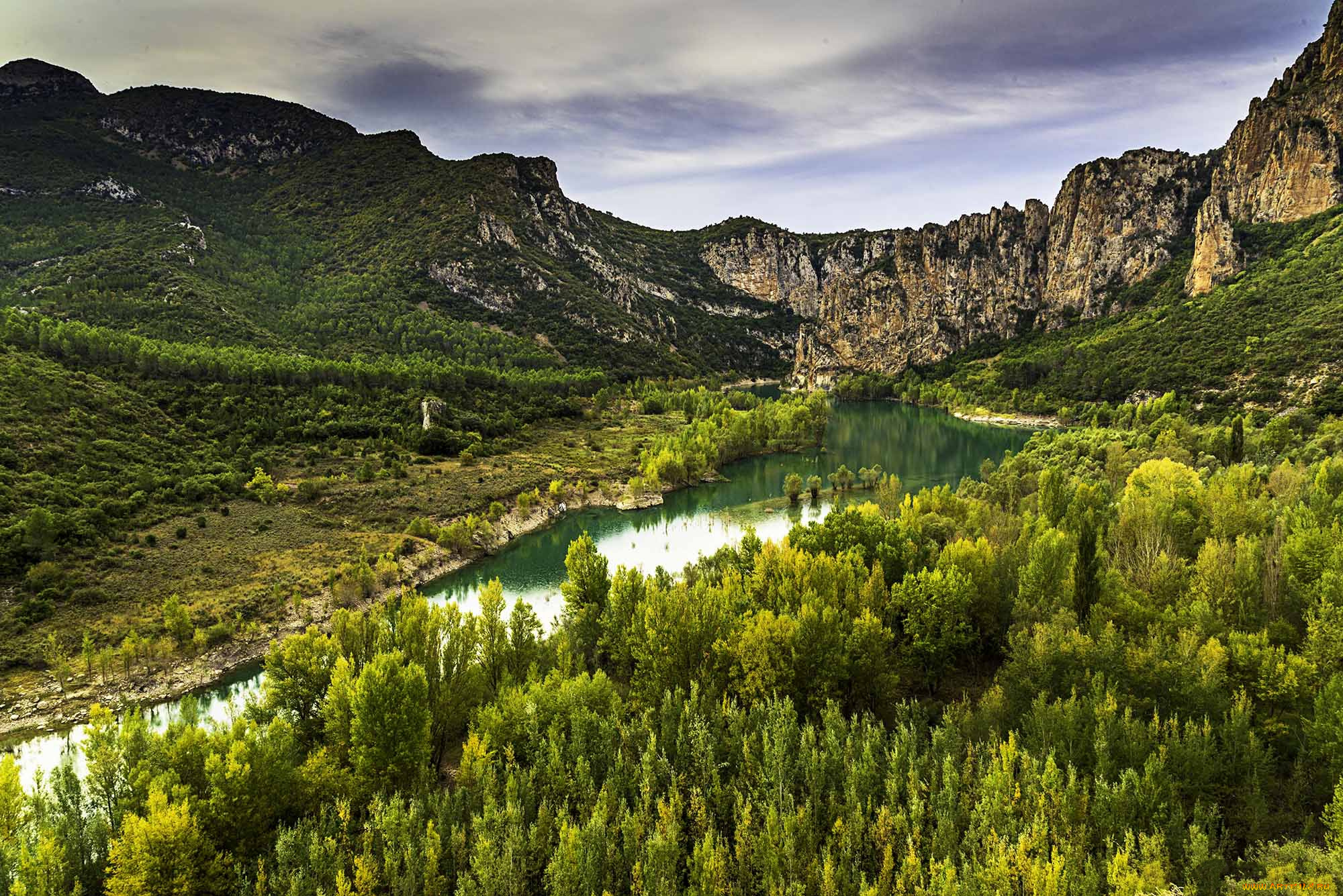 природа, реки, озера, река, лес