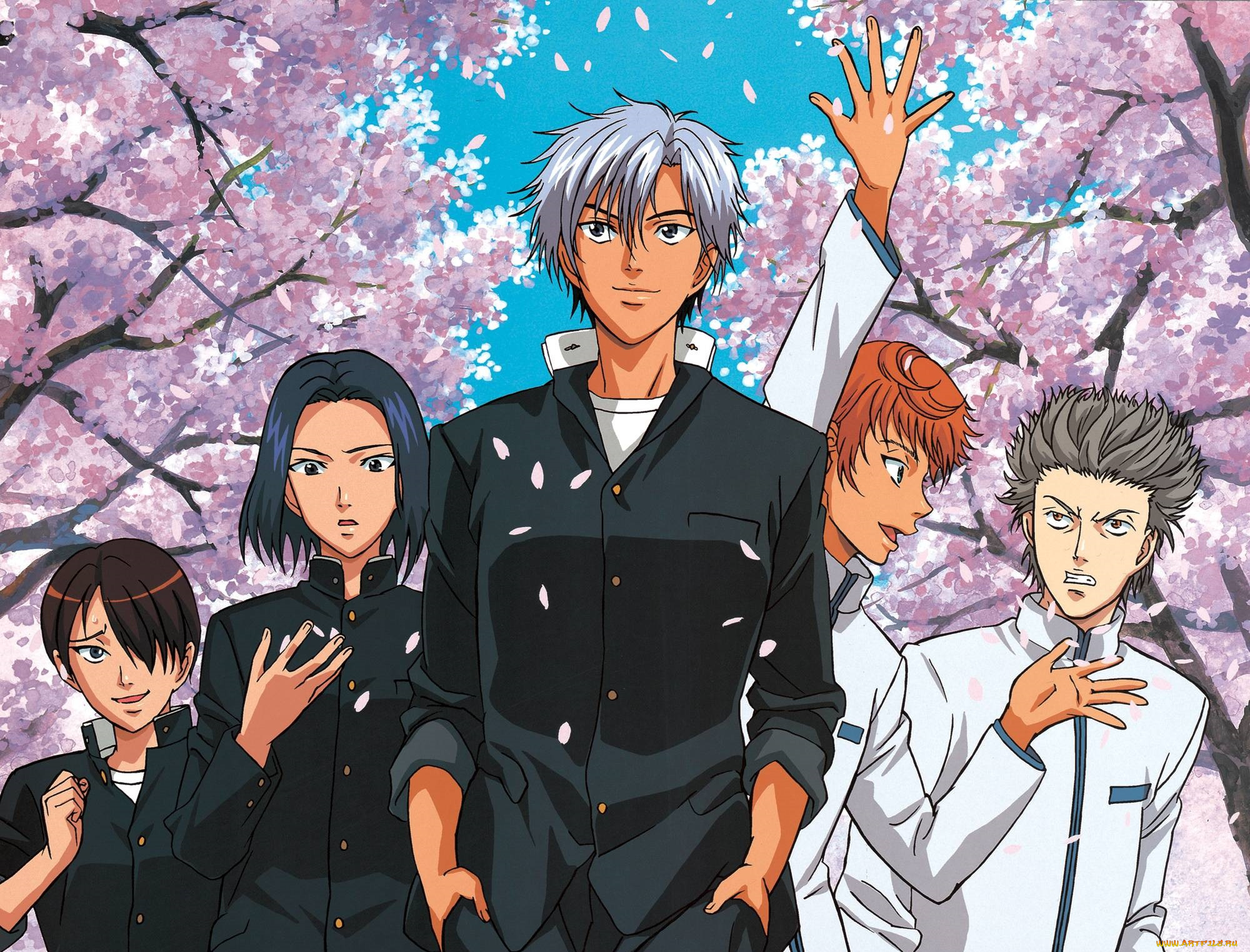 аниме, prince, of, tennis, prince, of, tennis