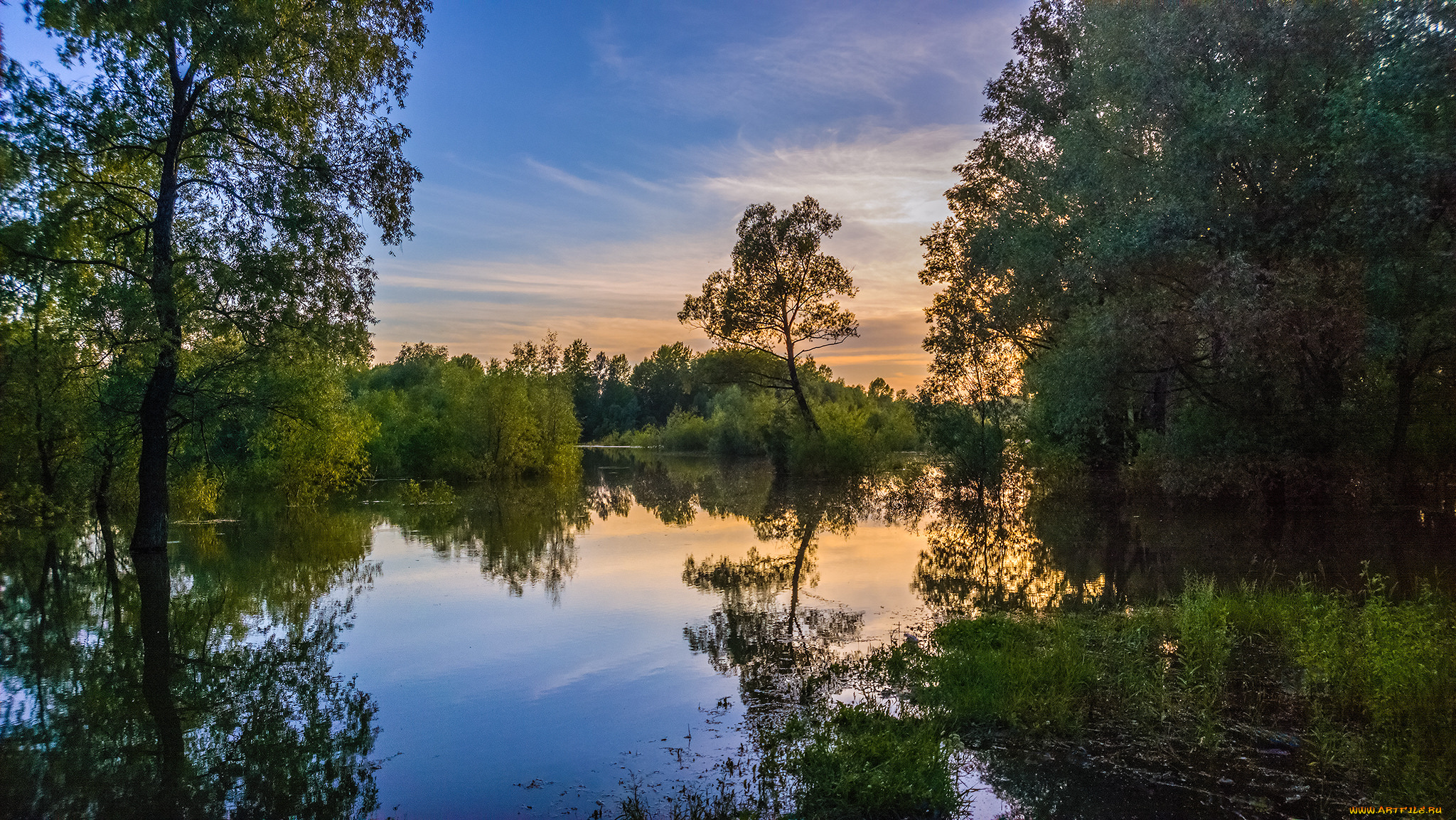 природа, реки, озера, река, лес