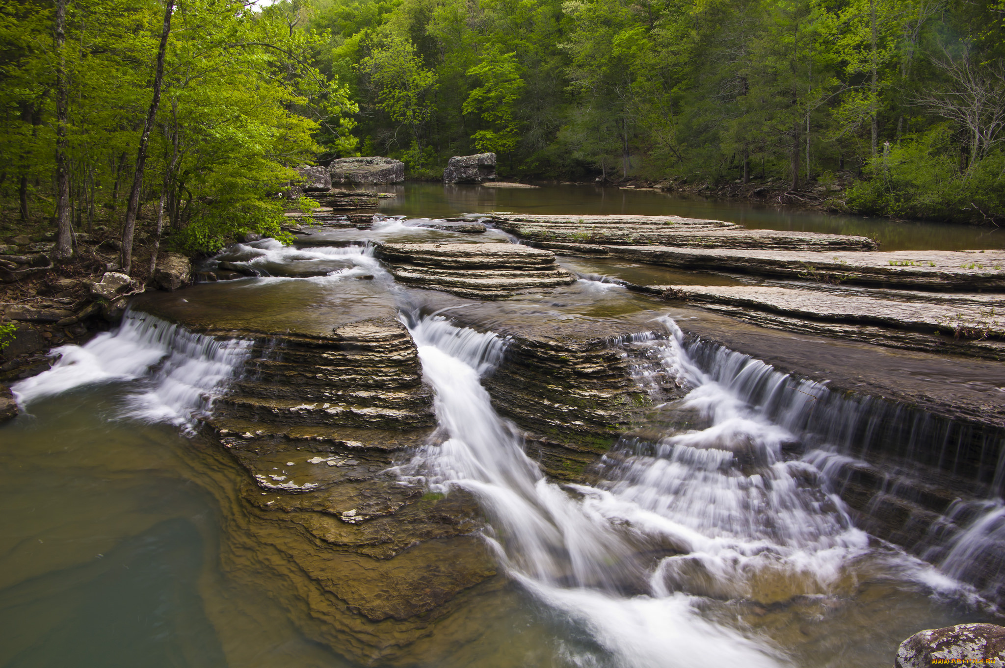 природа, реки, озера, река, лес