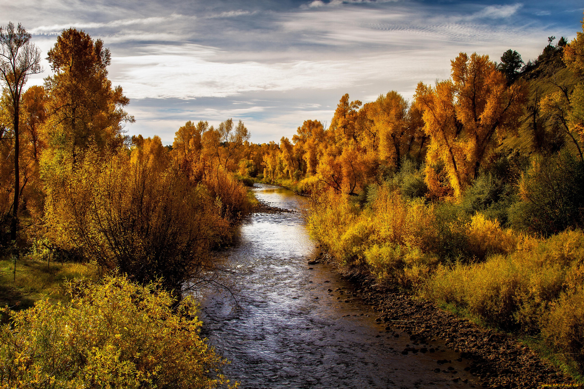природа, реки, озера, река, лес