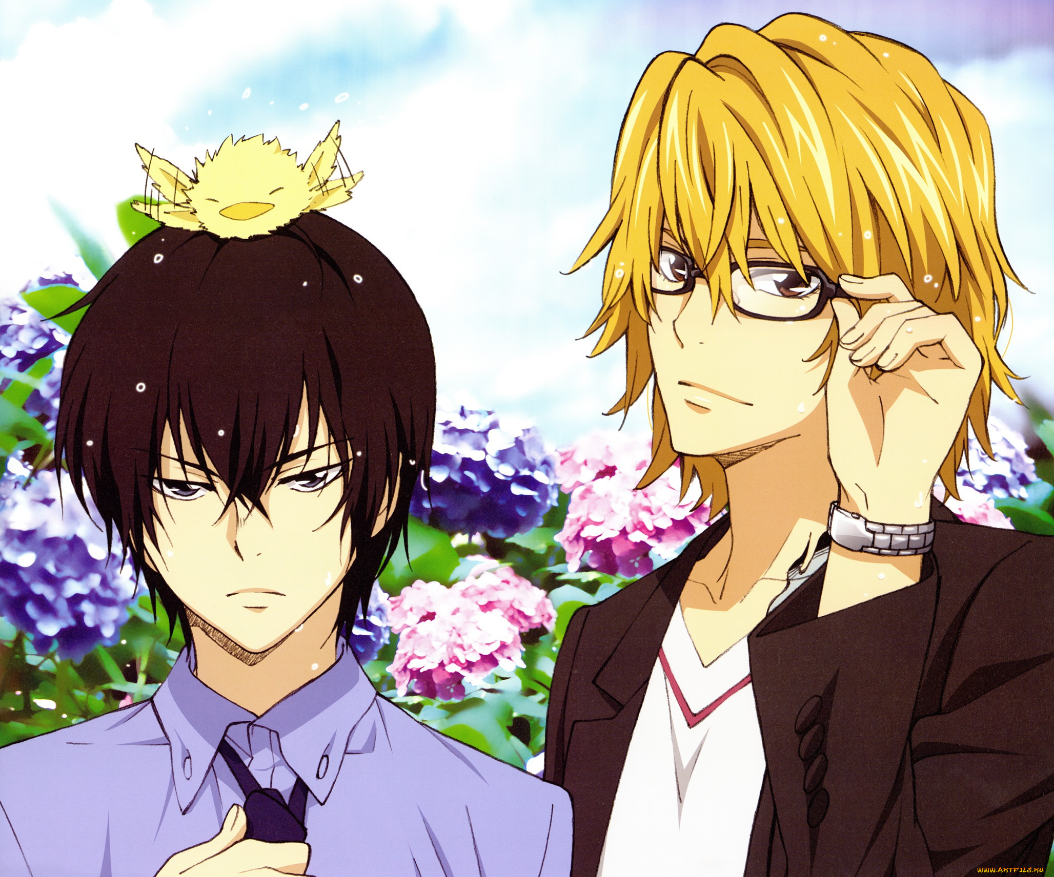 аниме, katekyo, hitman, reborn, парни