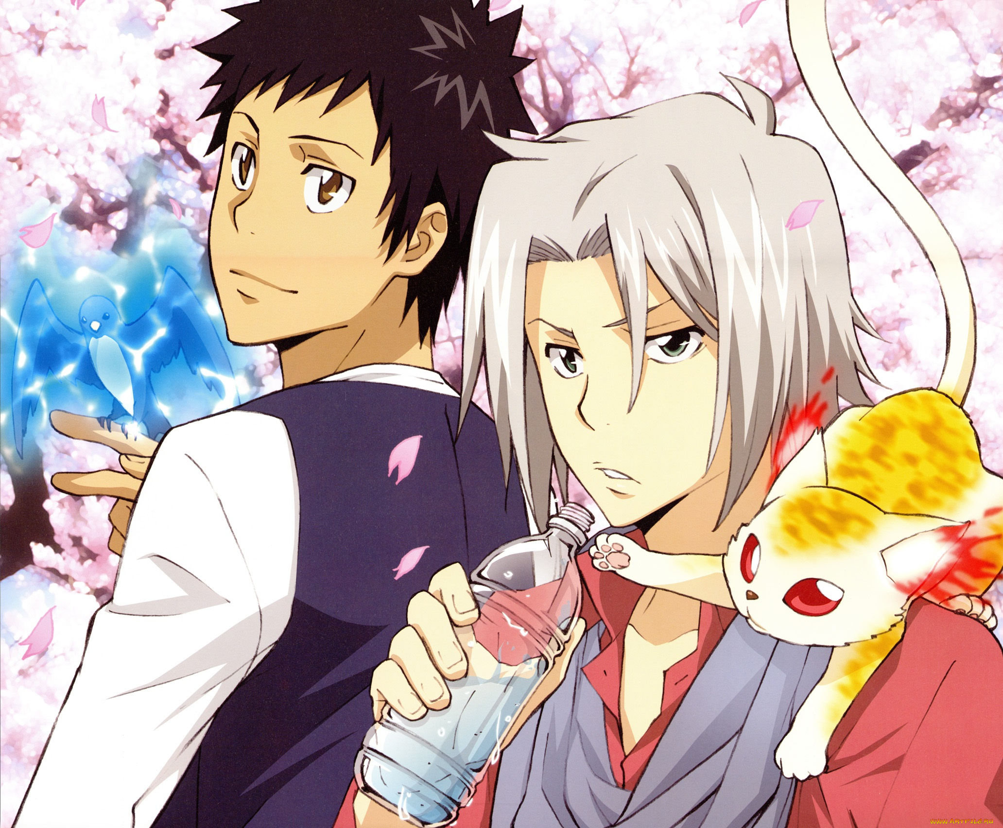 аниме, katekyo, hitman, reborn, парни