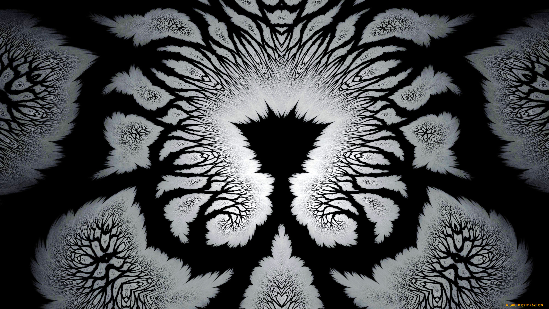 3д, графика, фракталы, , fractal, цвета, фон, узор