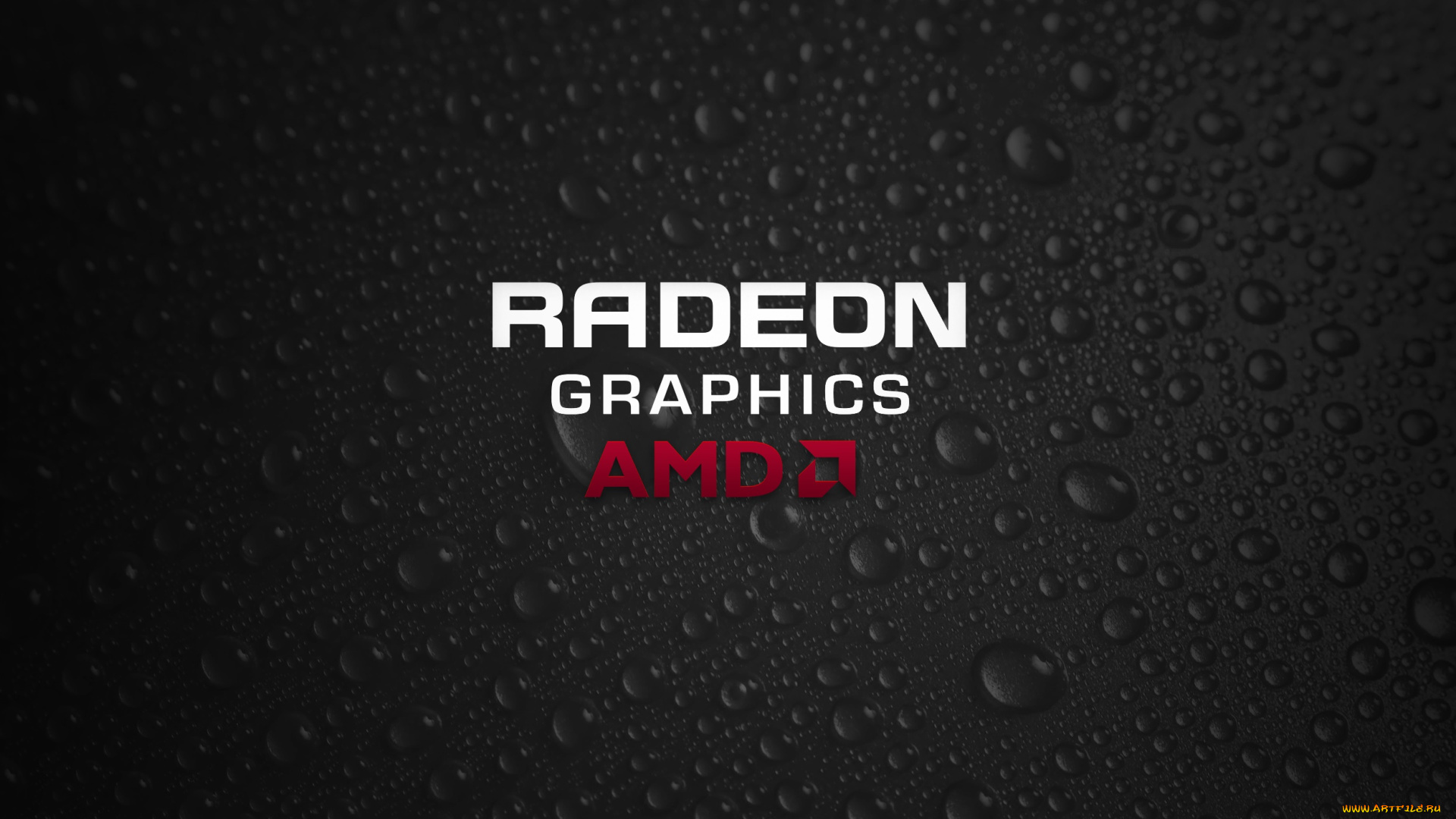 компьютеры, amd, логотип, фон