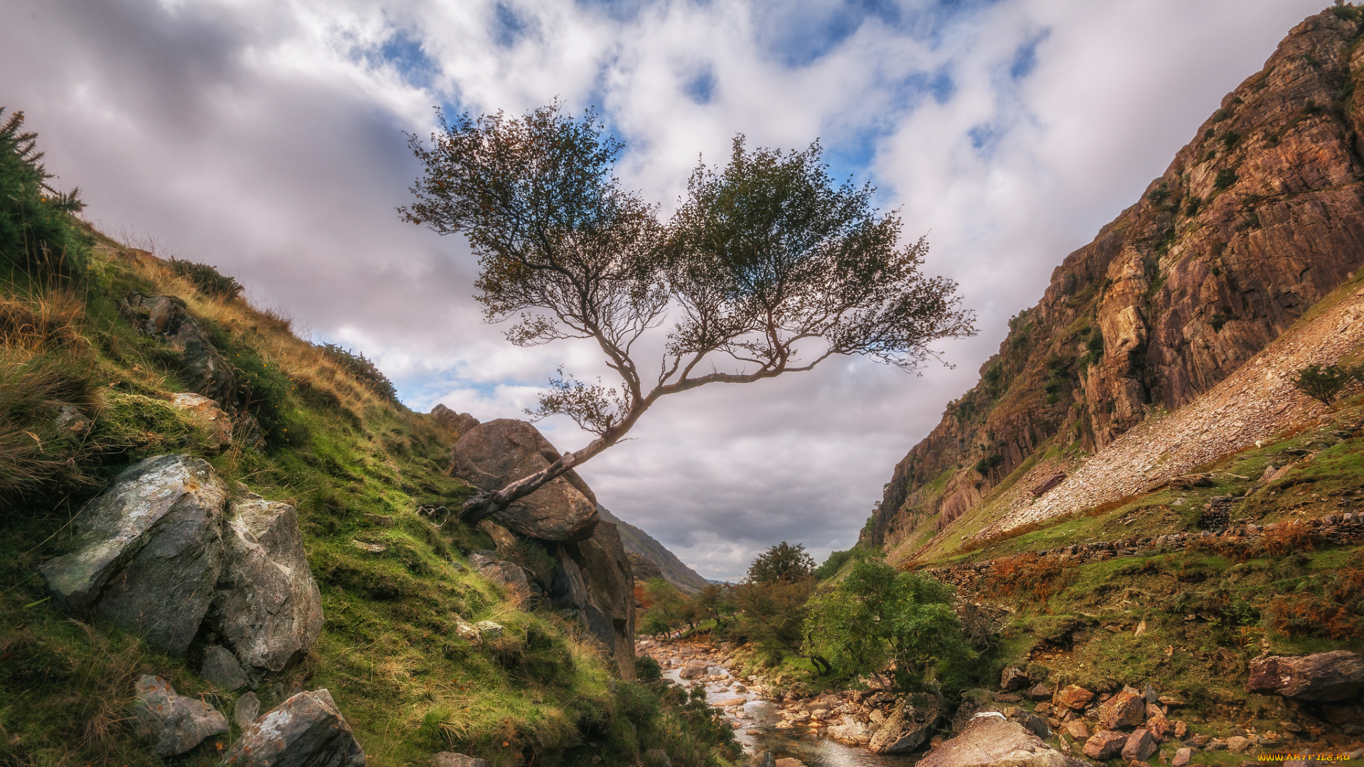 природа, горы, простор