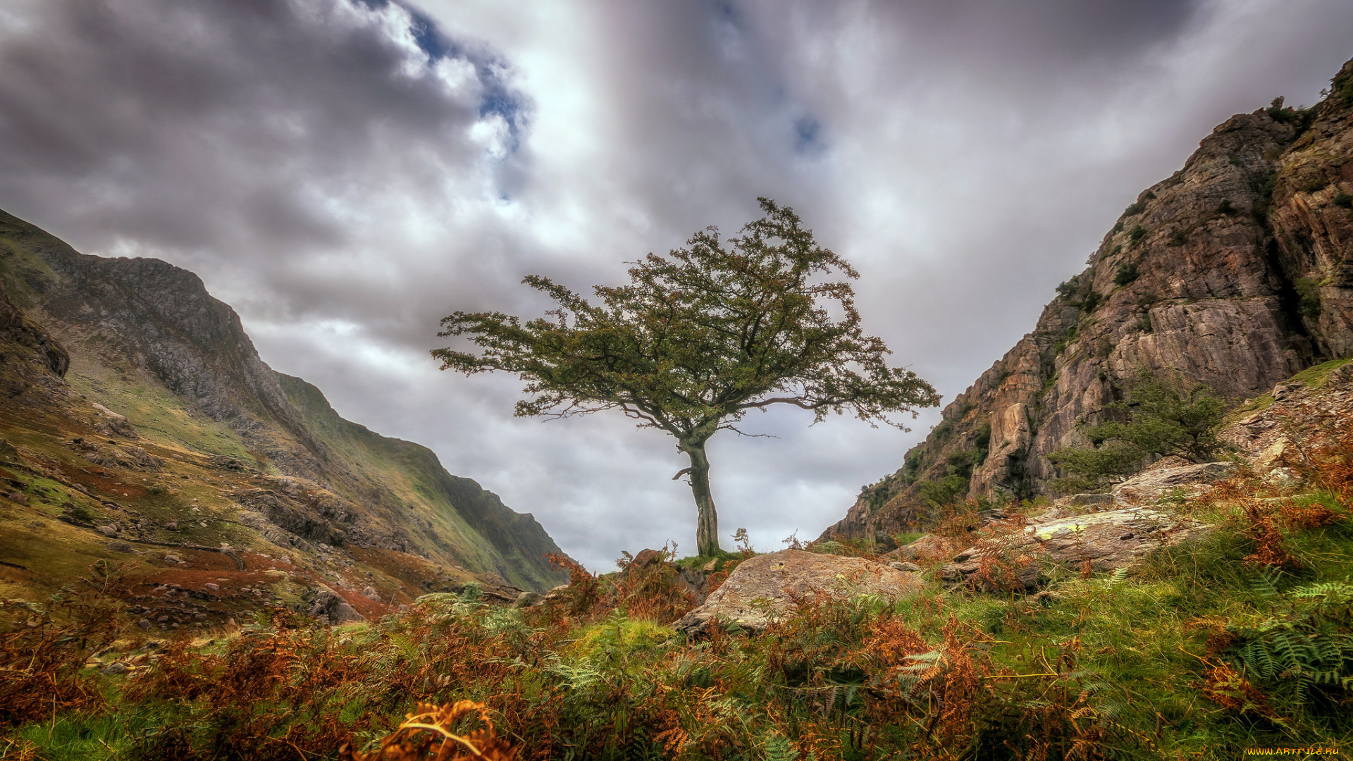 природа, горы, простор