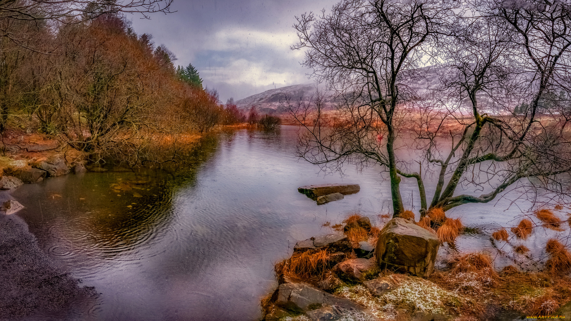 природа, реки, озера, простор