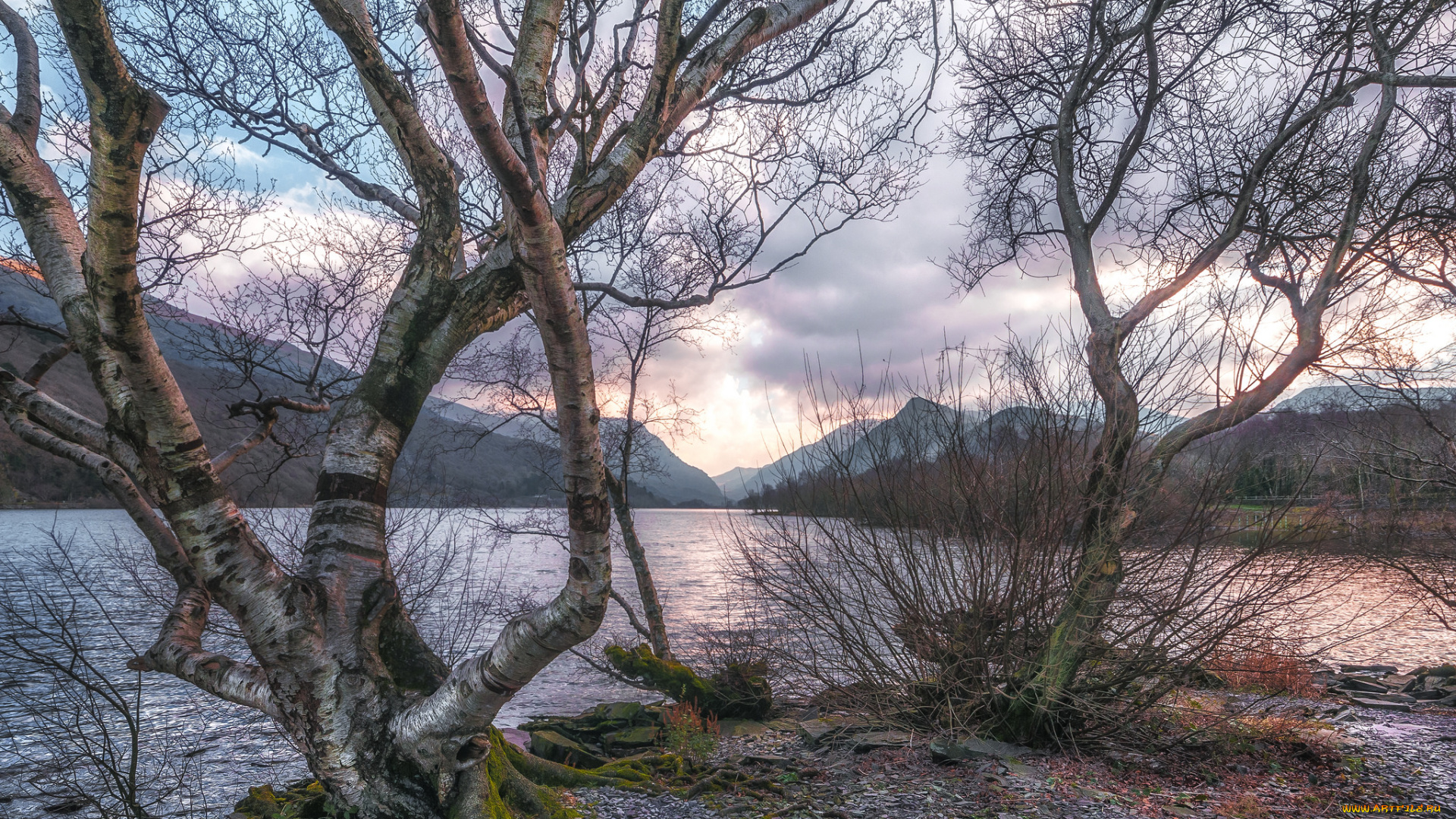 природа, реки, озера, простор