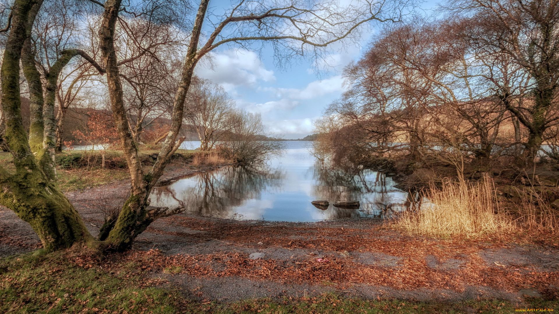 природа, реки, озера, простор