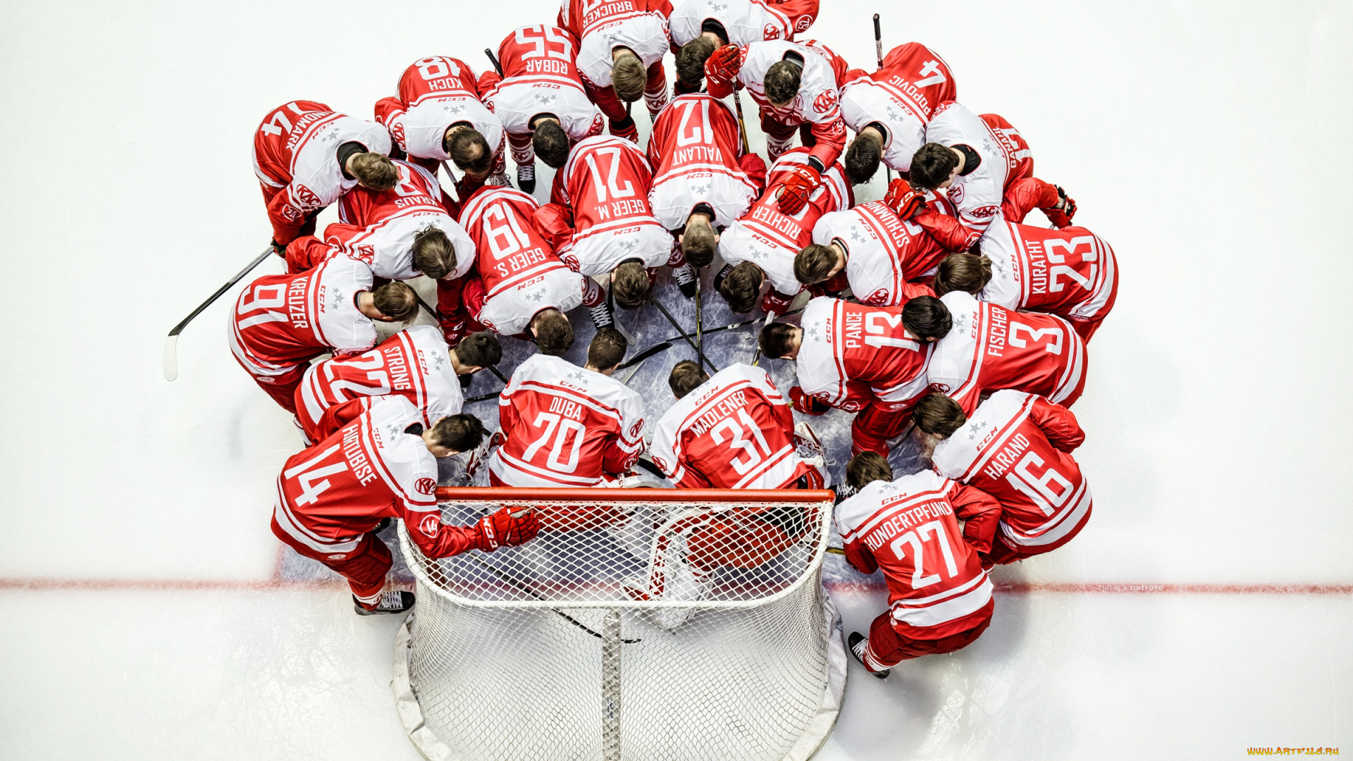 спорт, хоккей, хокей, игроки, команд