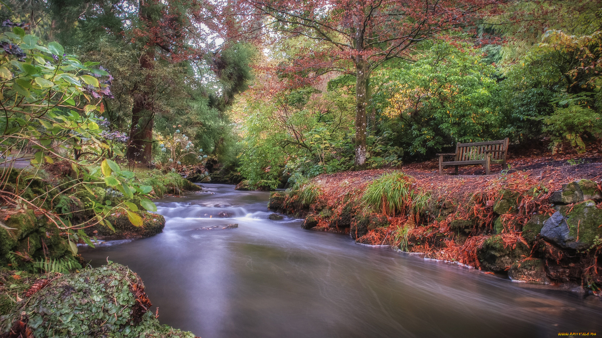 природа, реки, озера, простор