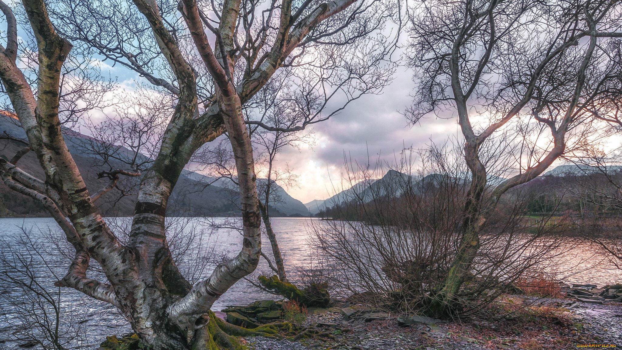 природа, реки, озера, простор