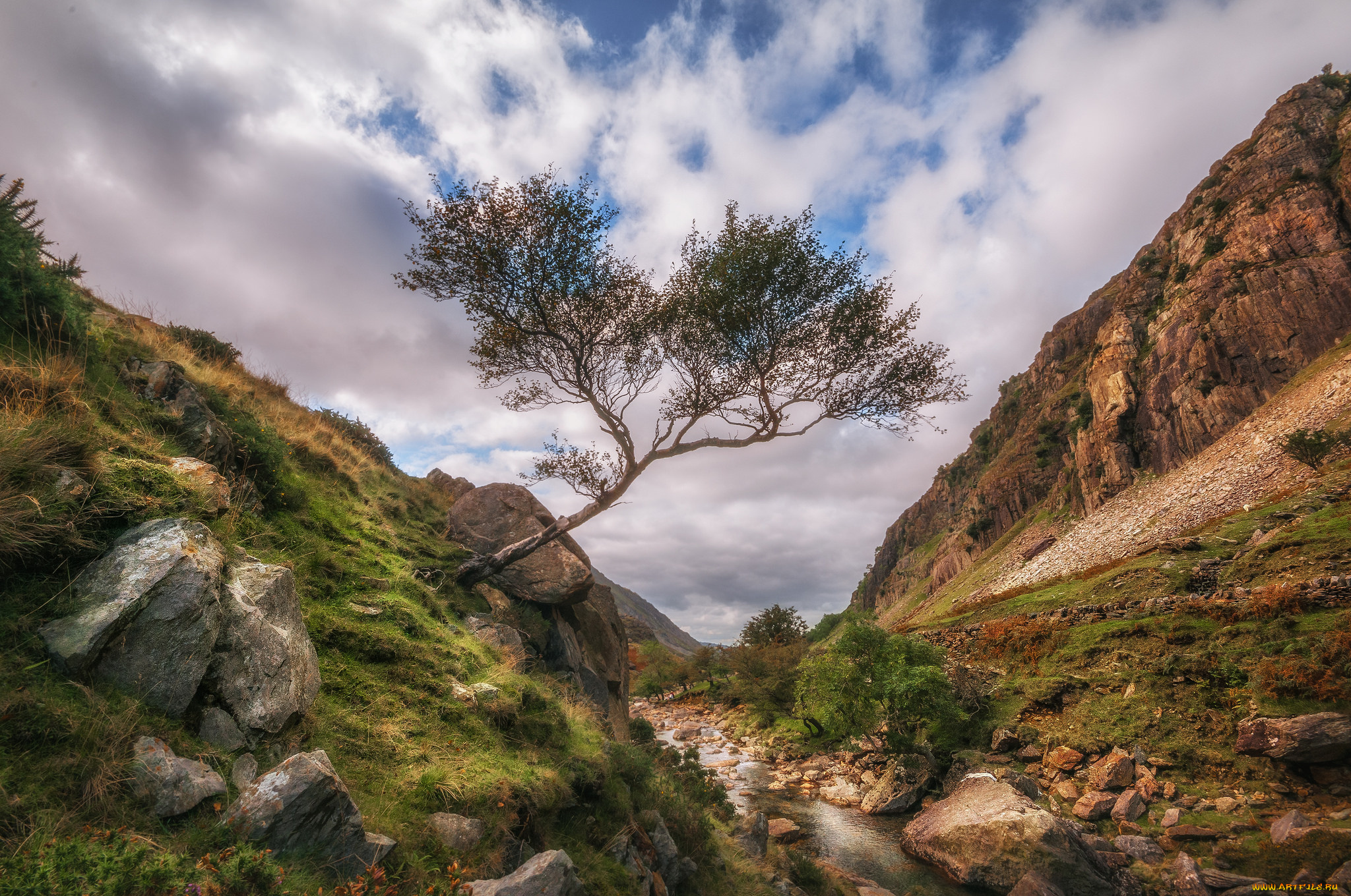 природа, горы, простор