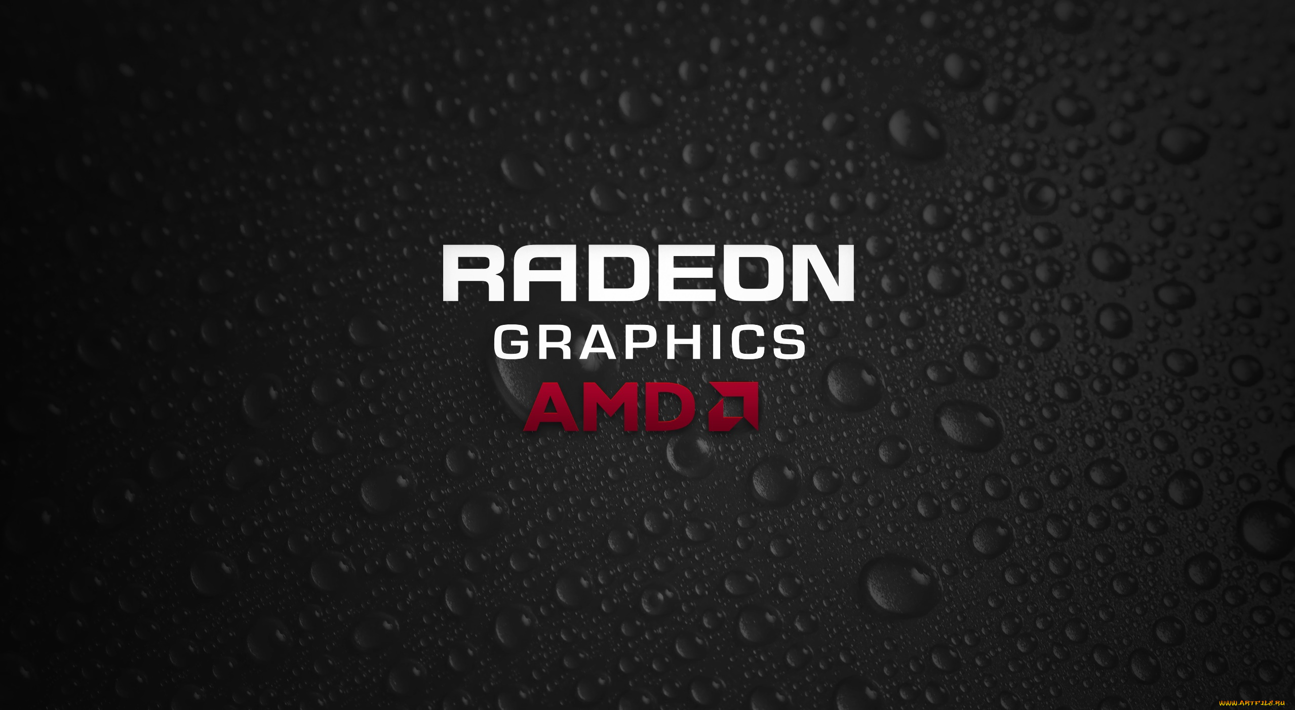 компьютеры, amd, логотип, фон